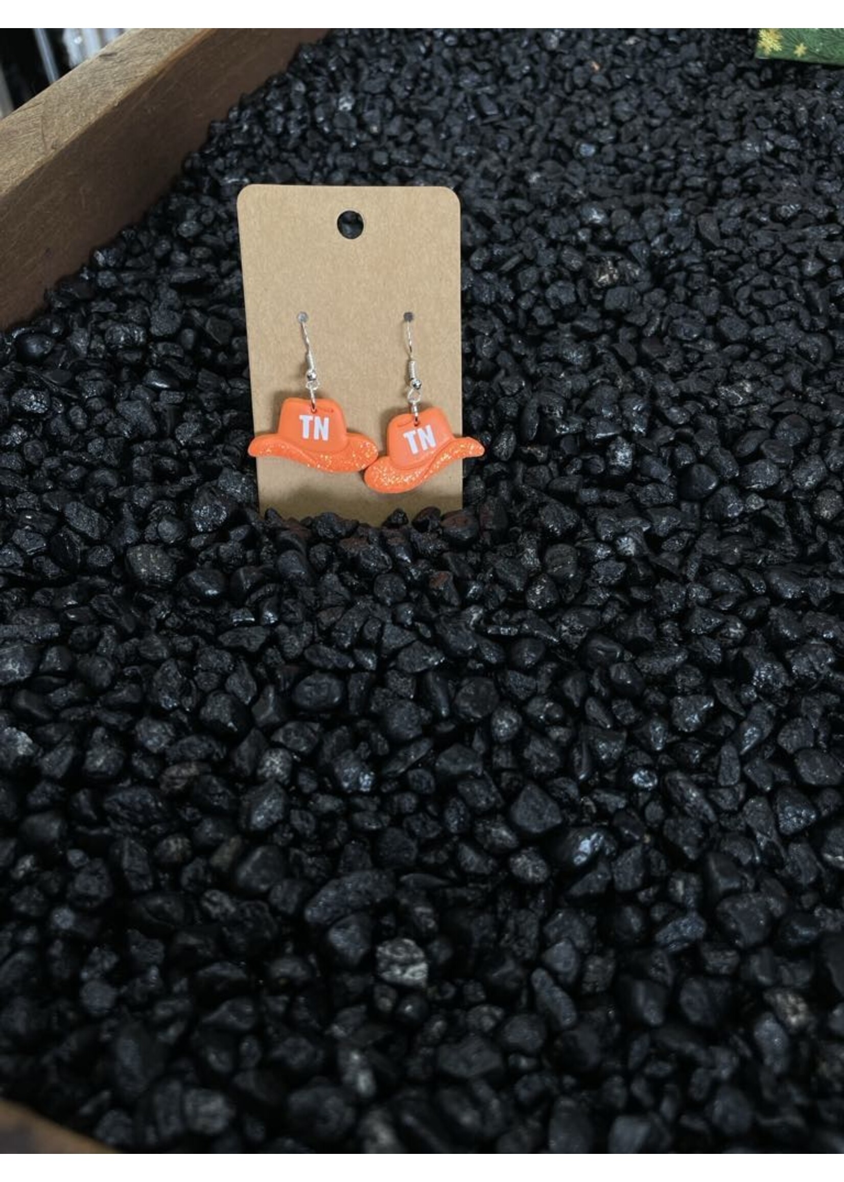 Asst. TN Earrings
