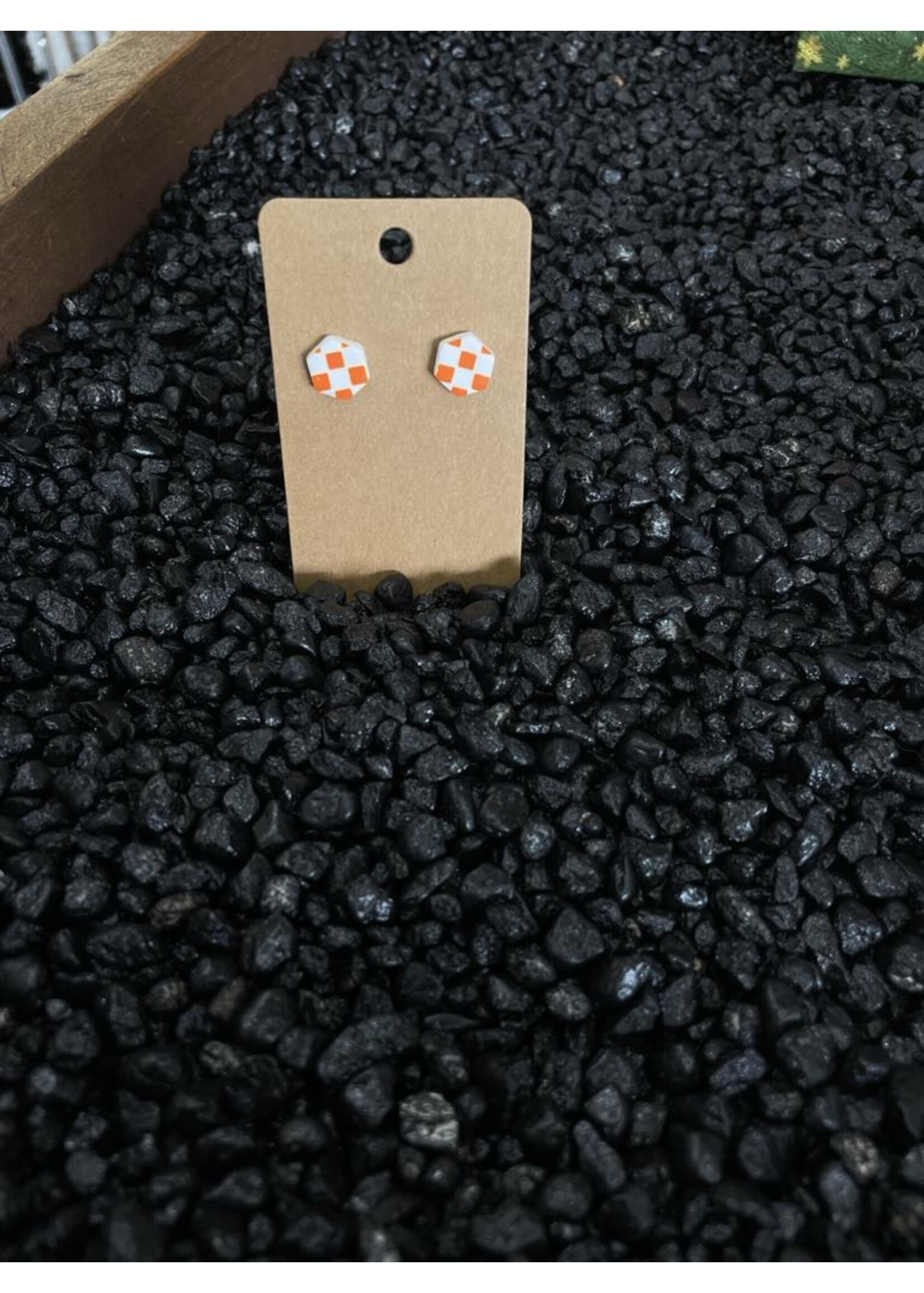 Asst. TN Earrings
