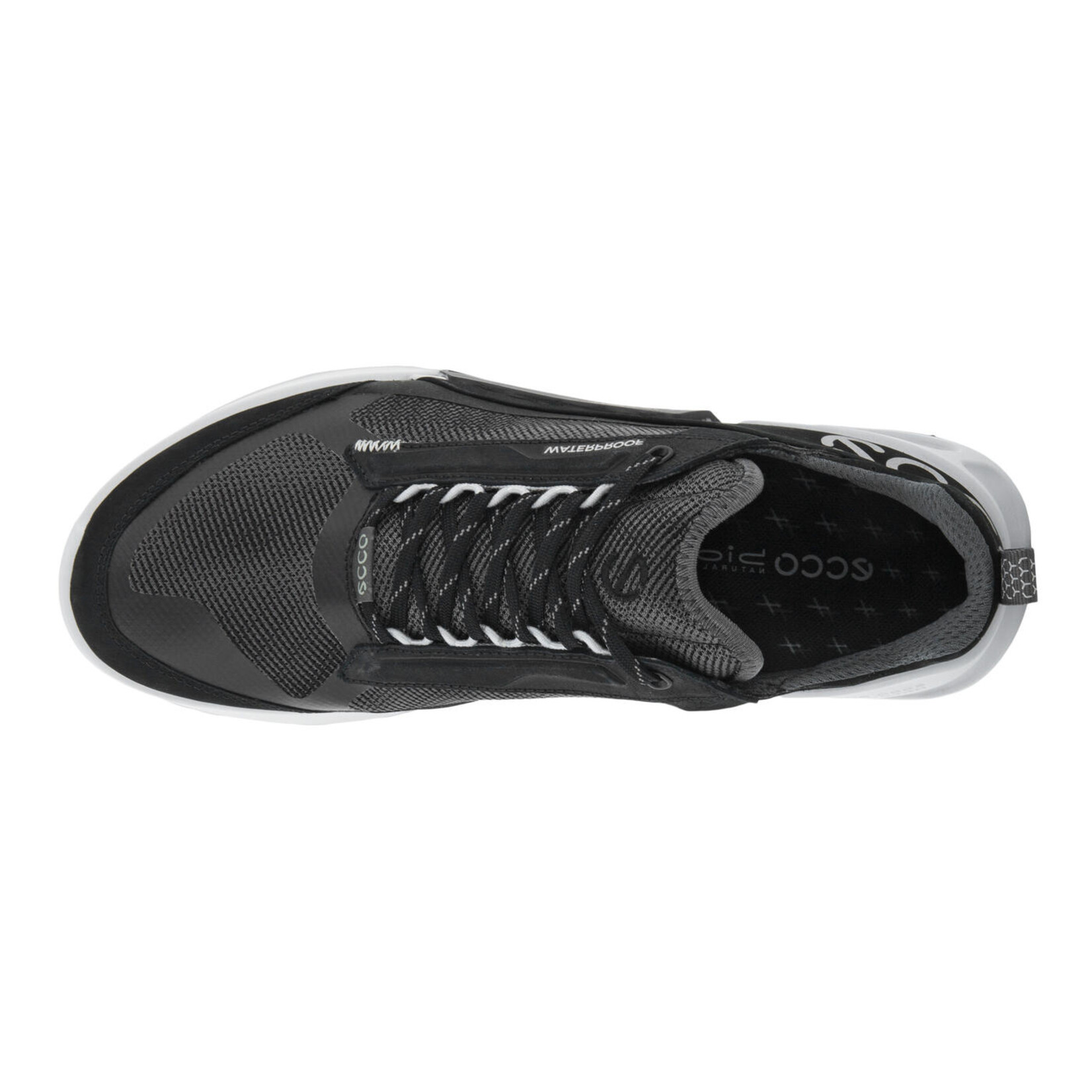 Ecco ECCO Biom 2.1 X Mountain Mens