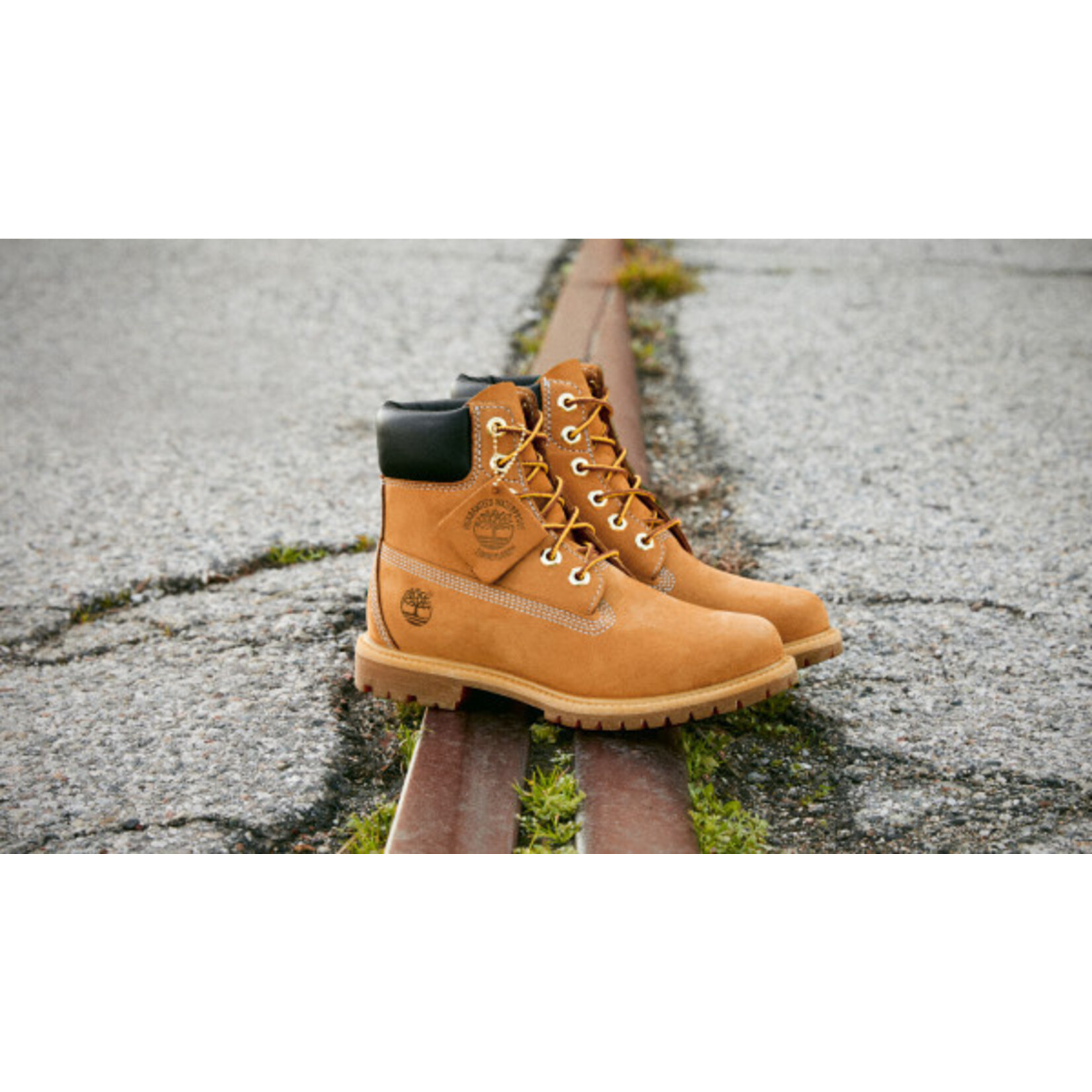 Timberland TIMBERLAND Women's Premium 6 IN  Waterproof Boot