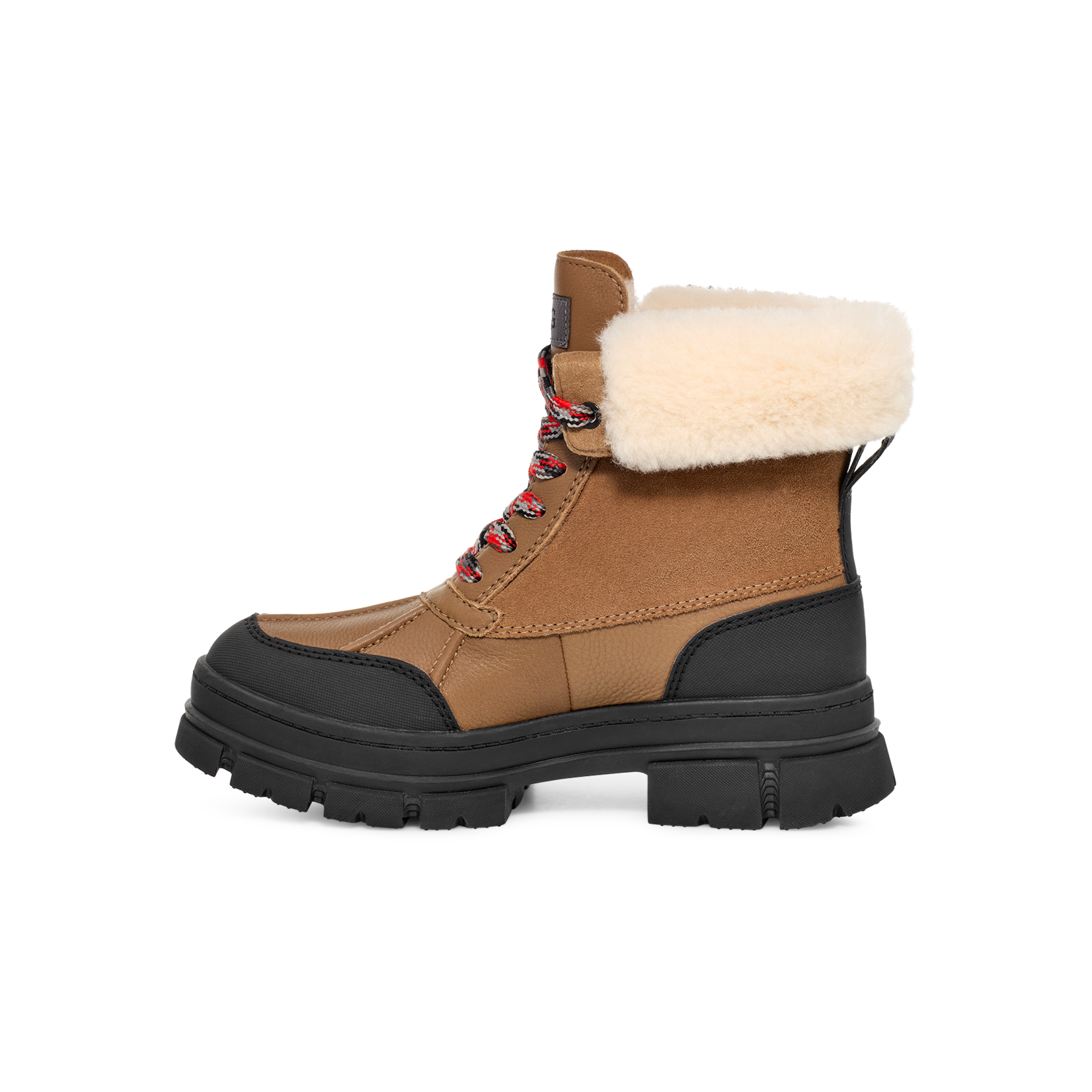 Ugg UGG Women's Ashton Addie