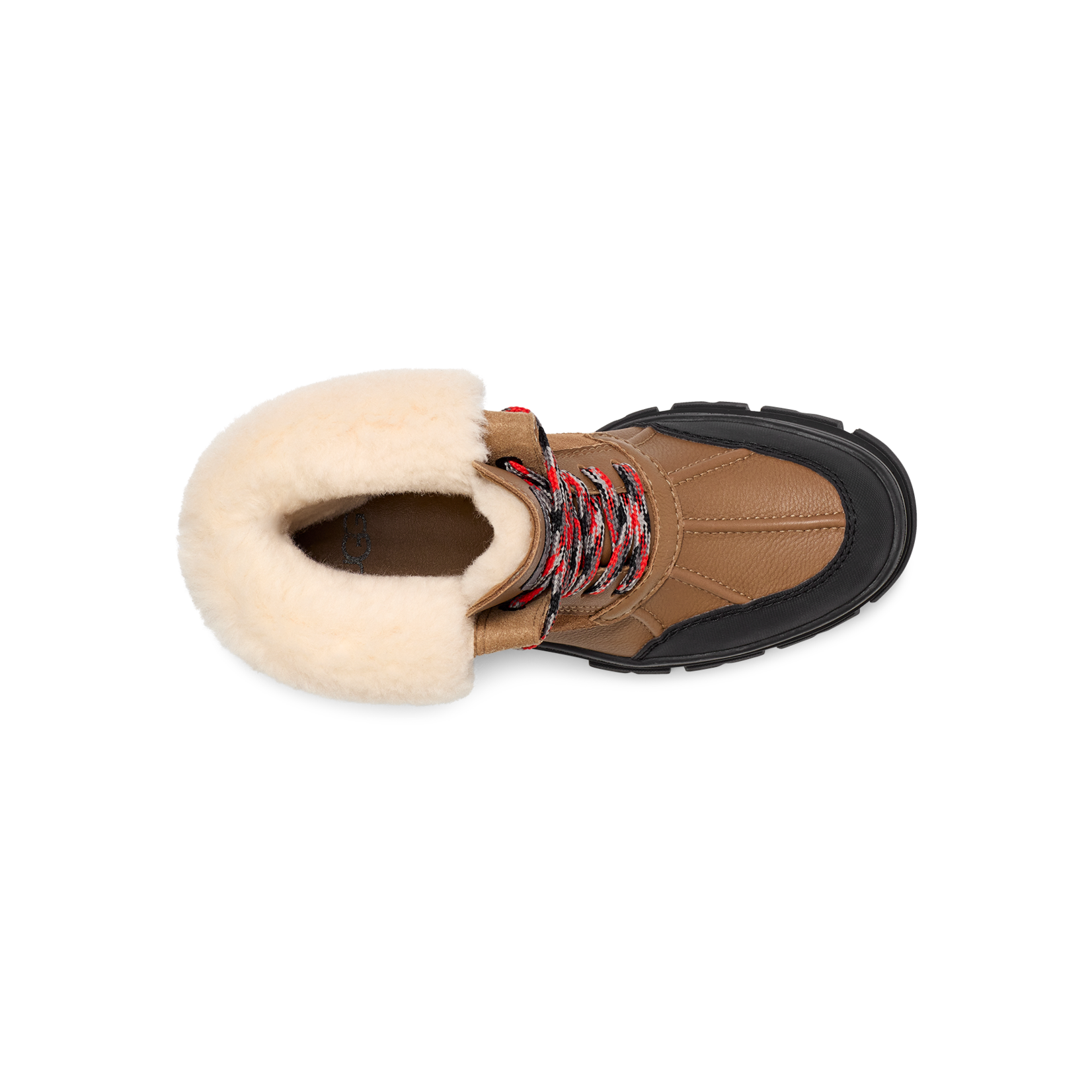 Ugg UGG Women's Ashton Addie