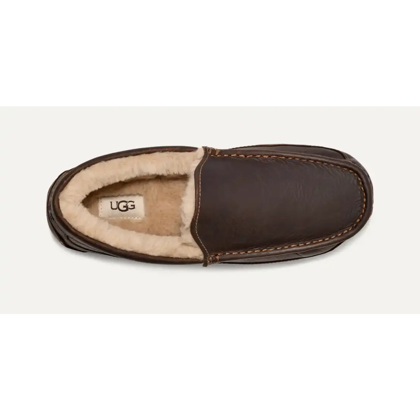 Ugg UGG 1103889 Ascot TAN