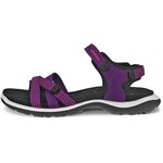 Ecco ECCO Offroad Roam W. Sandal