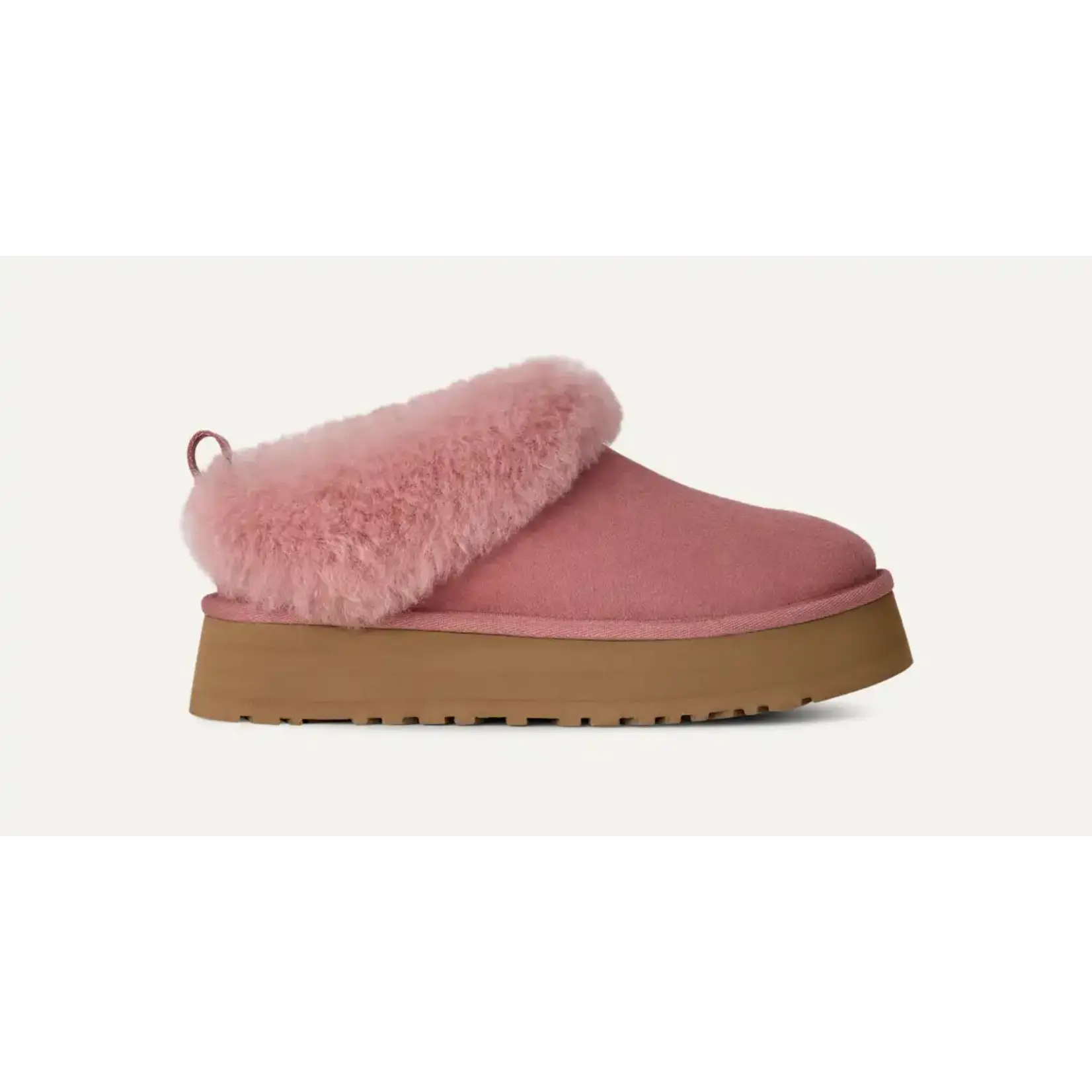 Ugg UGG Women's Tazzelle