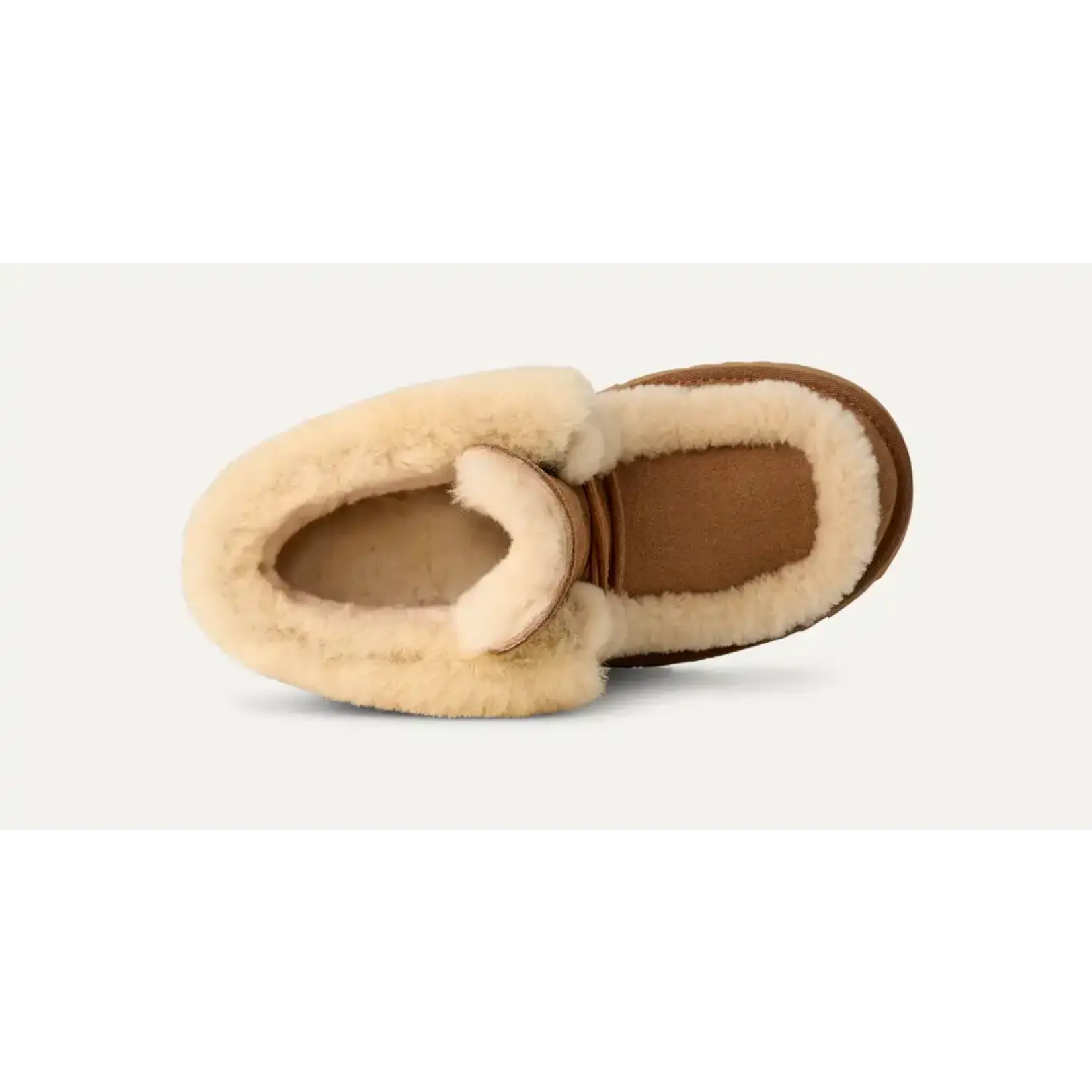 Ugg UGG Women's Esmee Lace Up