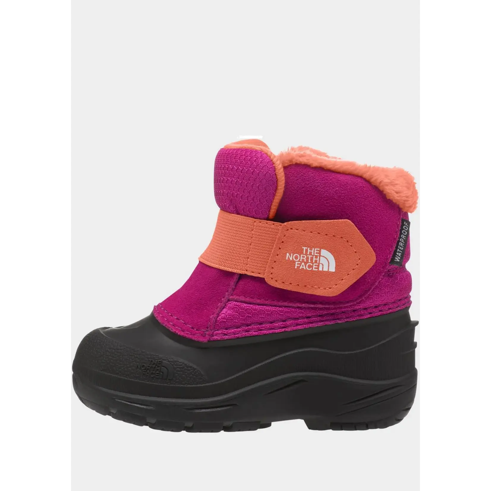 North Face NORTH FACE Toddler's Alpenglow II