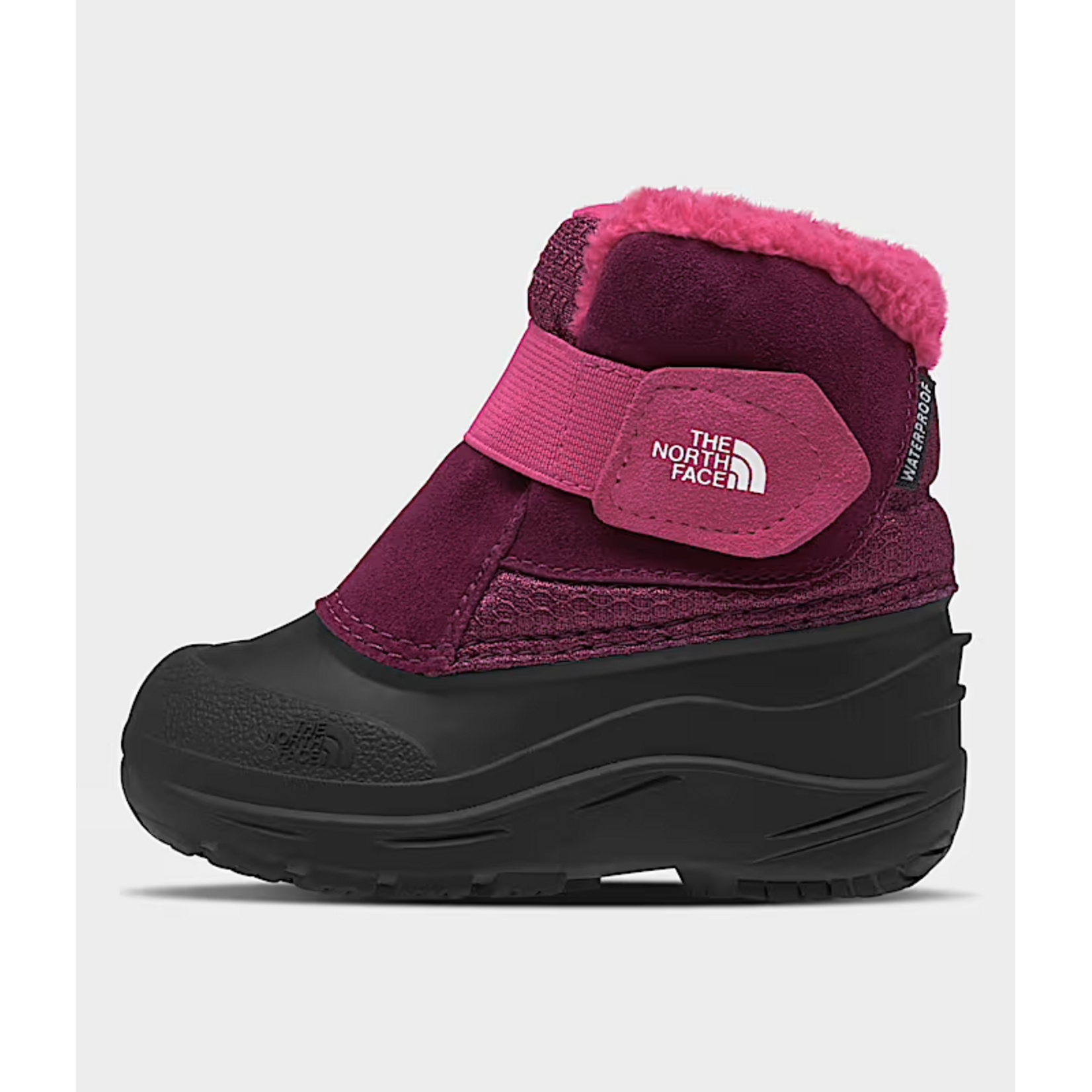 North Face NORTH FACE Toddler's Alpenglow II