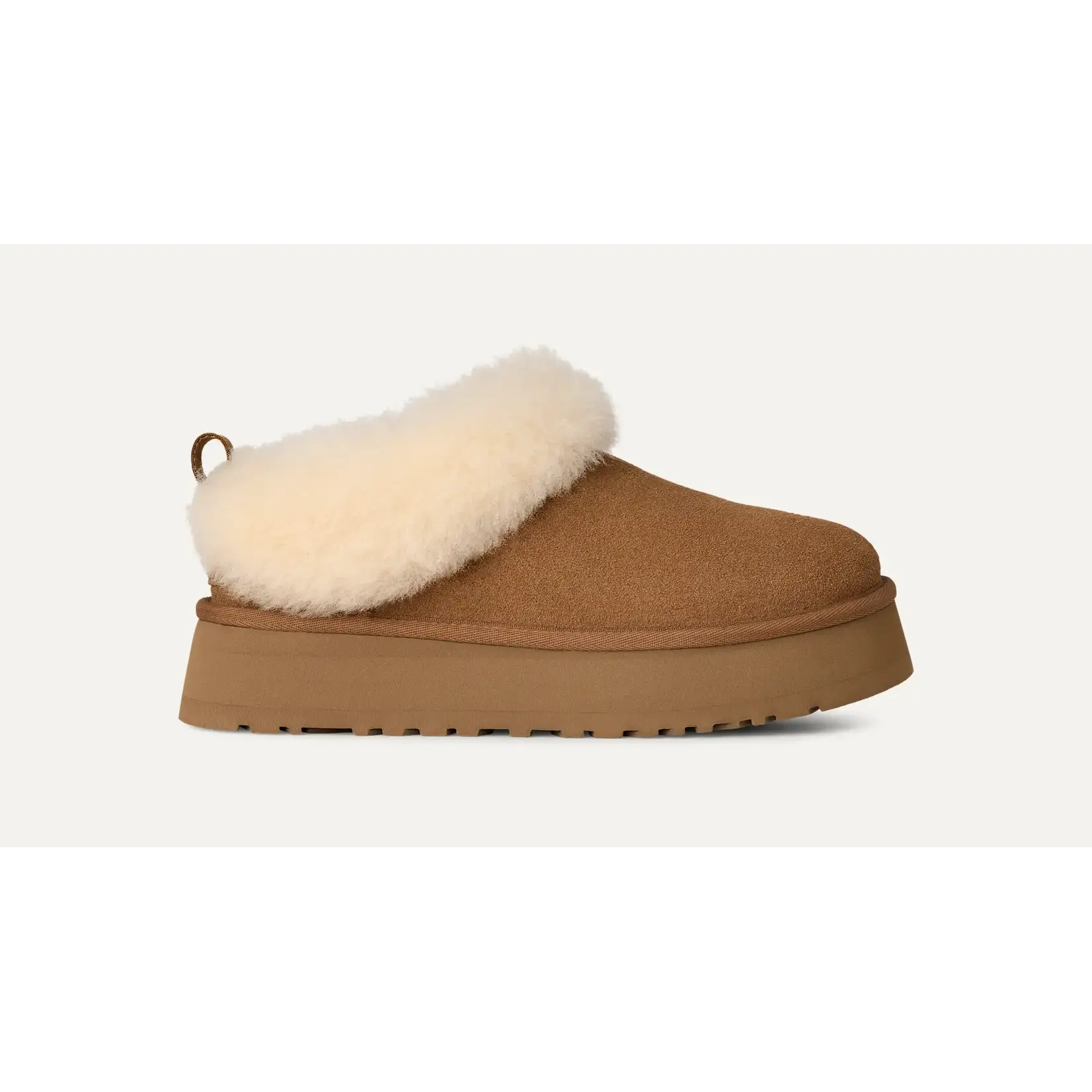 Ugg UGG Women's Tazzelle
