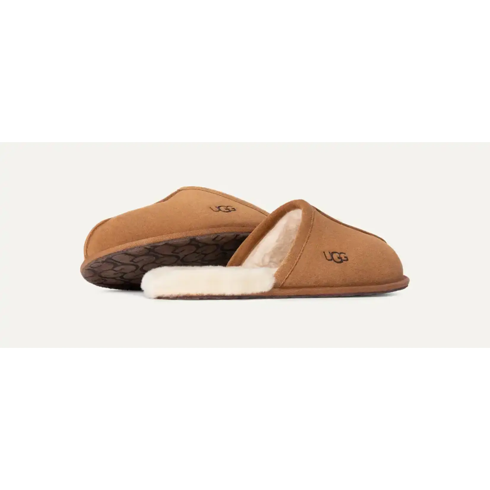 Ugg UGG Men's Scuff