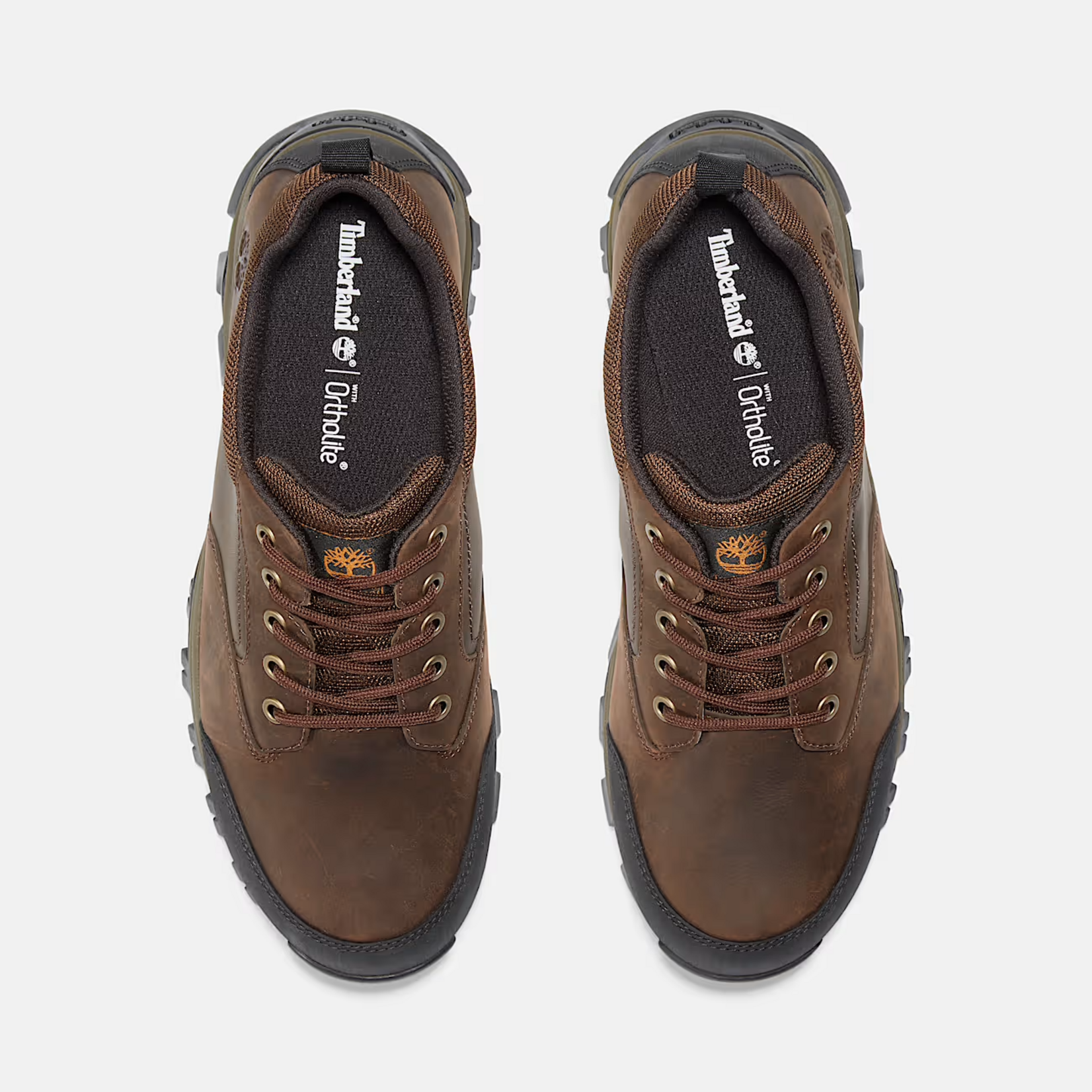 Timberland TIMBERLAND Men's Mt. Maddsen Low Lace Up