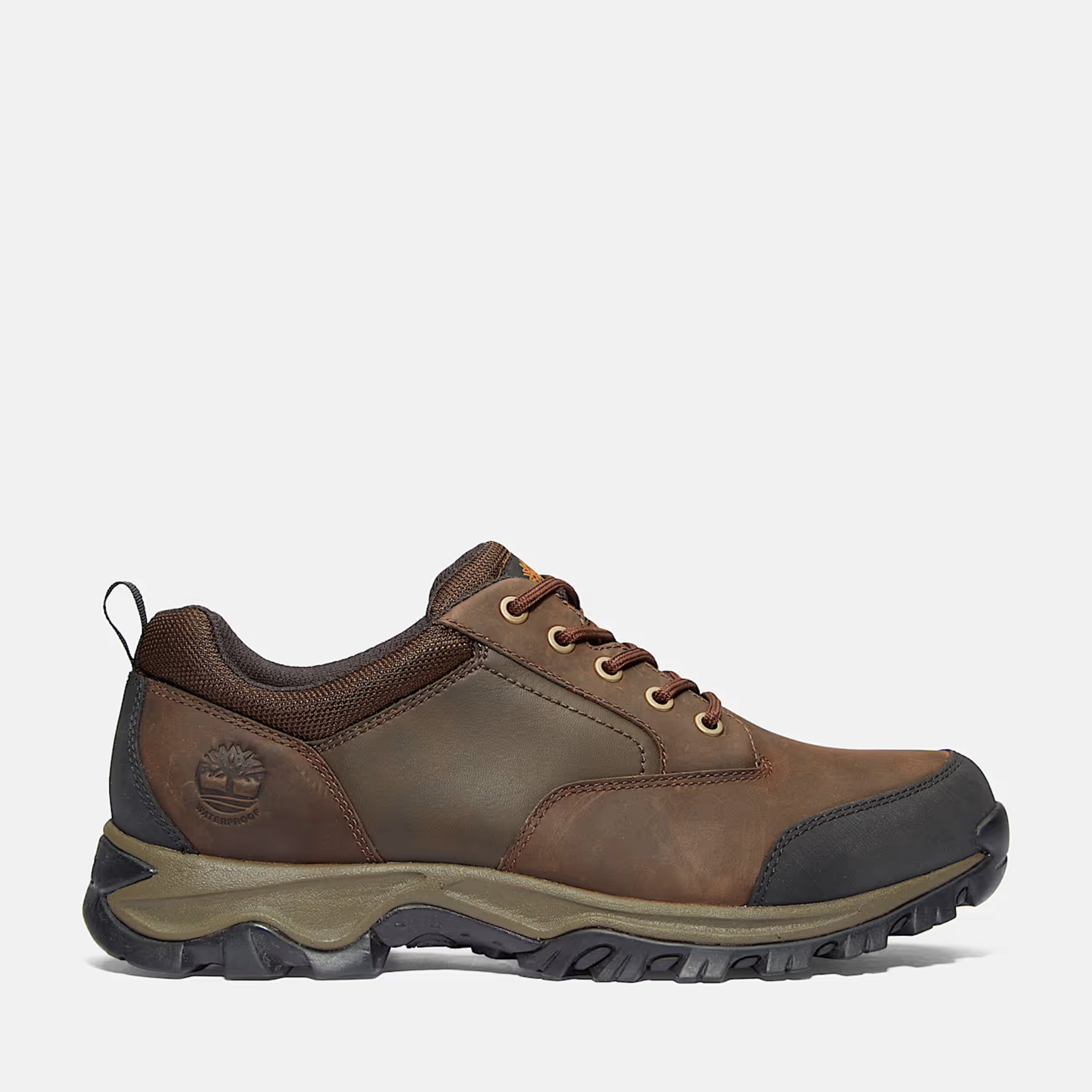 Timberland TIMBERLAND Men's Mt. Maddsen Low Lace Up
