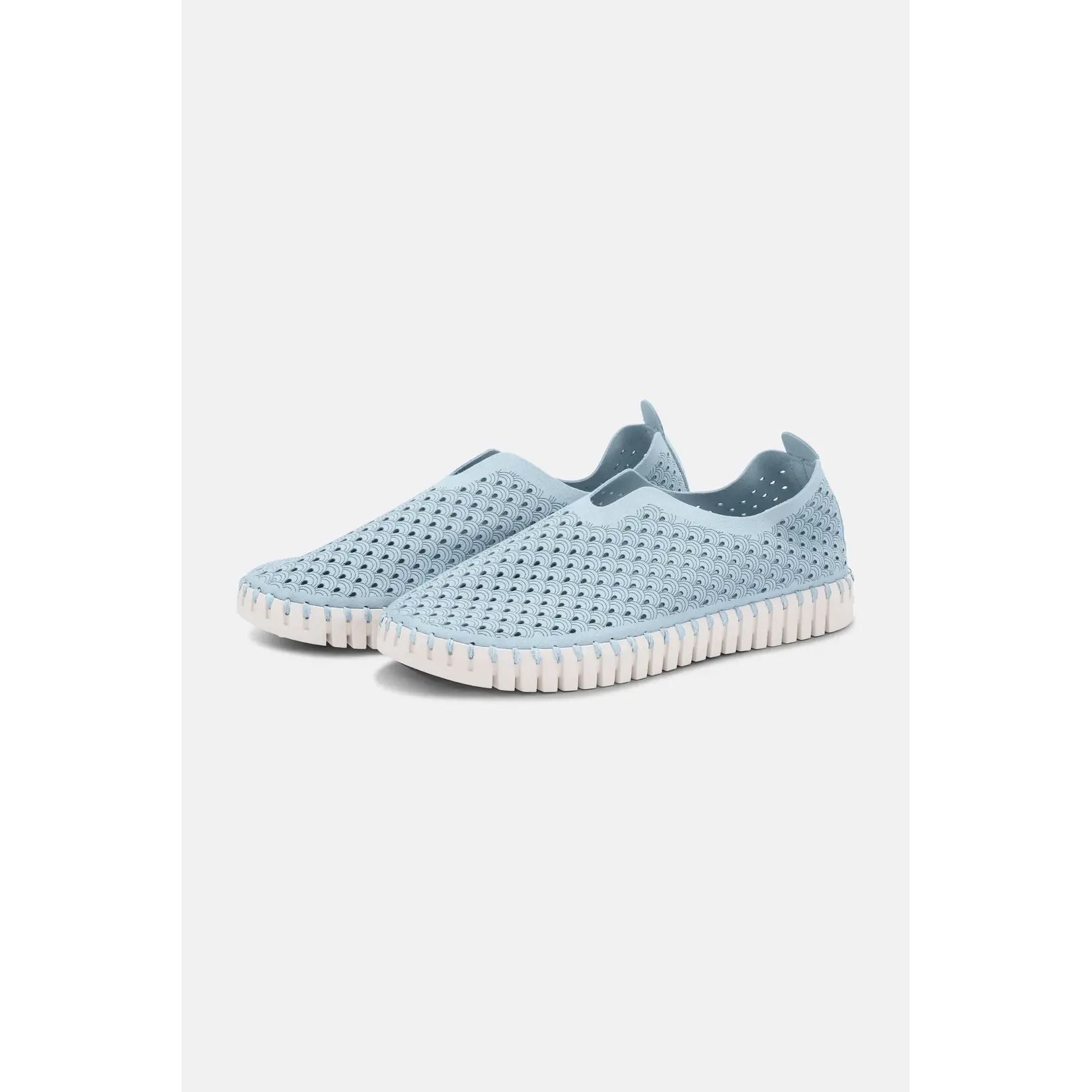 ILSE JACOBSEN ILSE JACOBSEN Tulip