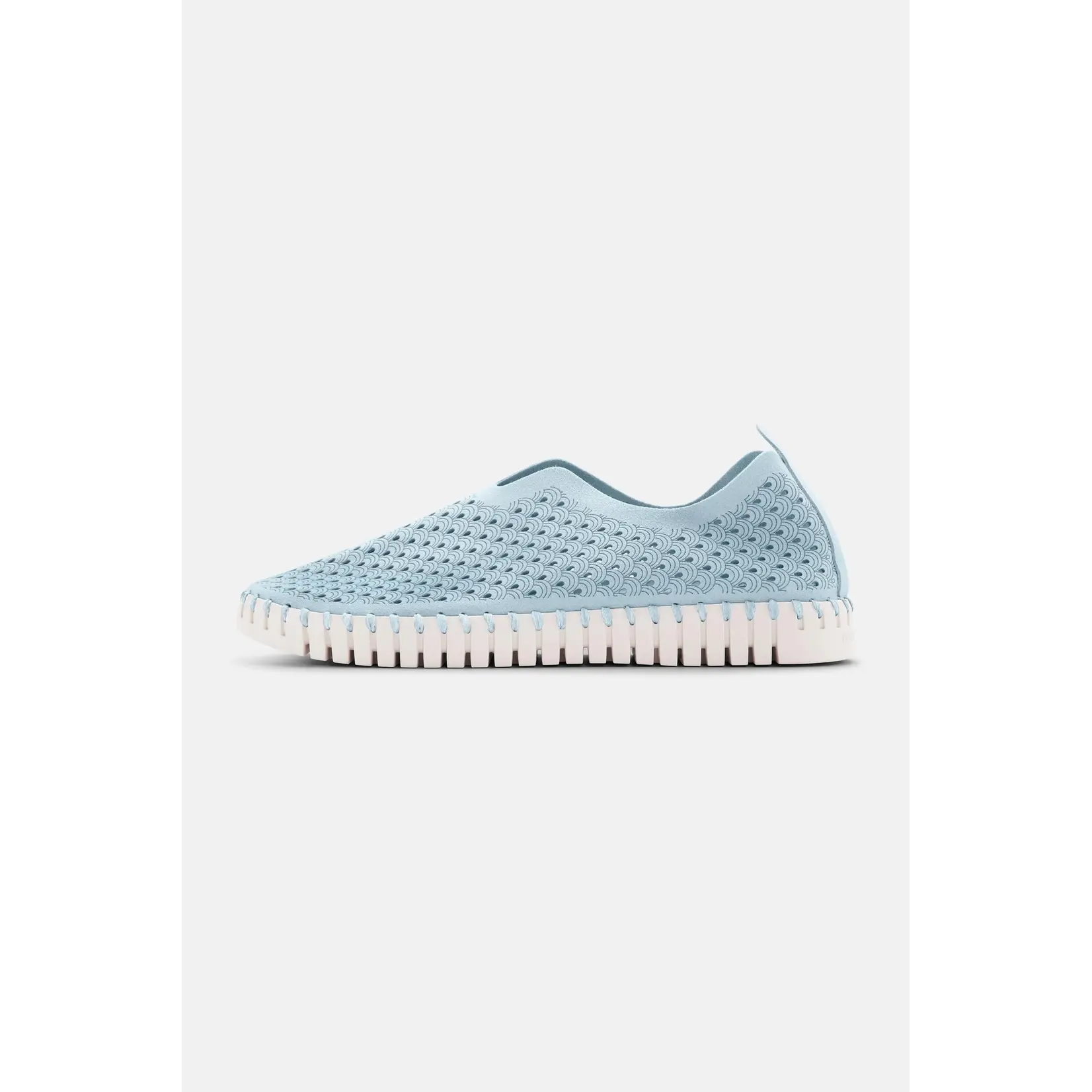 ILSE JACOBSEN ILSE JACOBSEN Tulip