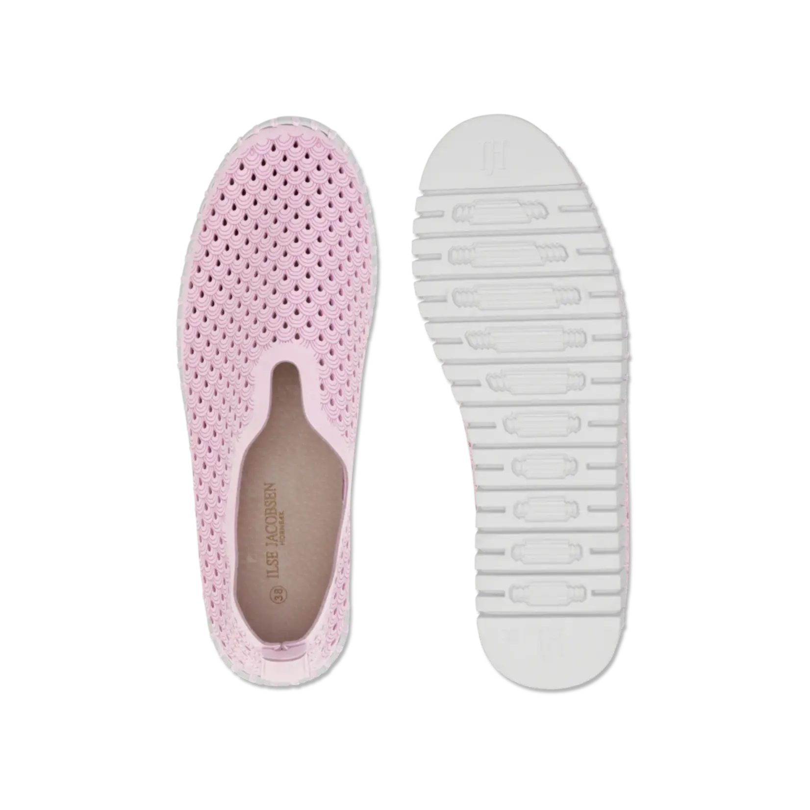 ILSE JACOBSEN ILSE JACOBSEN Tulip