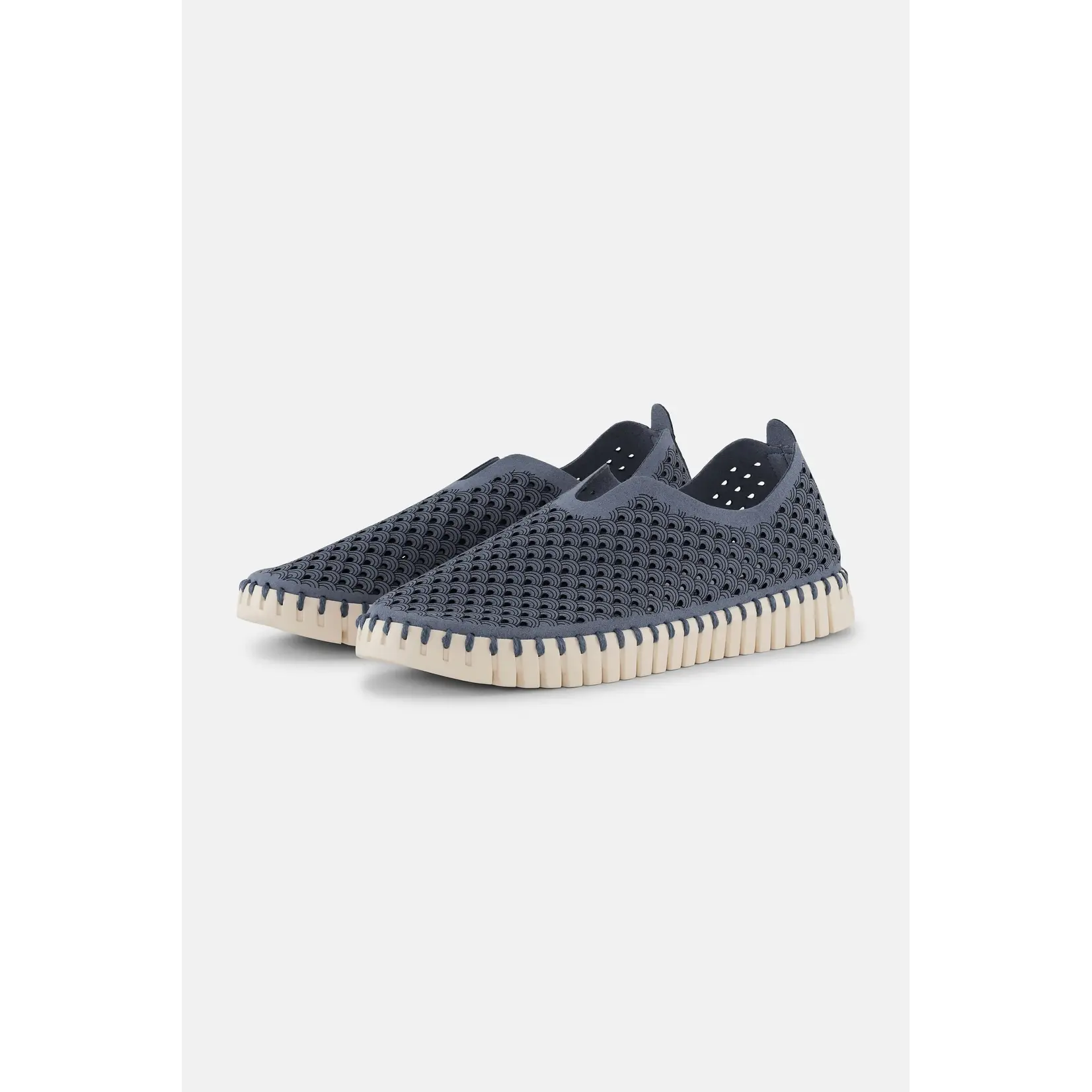 ILSE JACOBSEN ILSE JACOBSEN Tulip