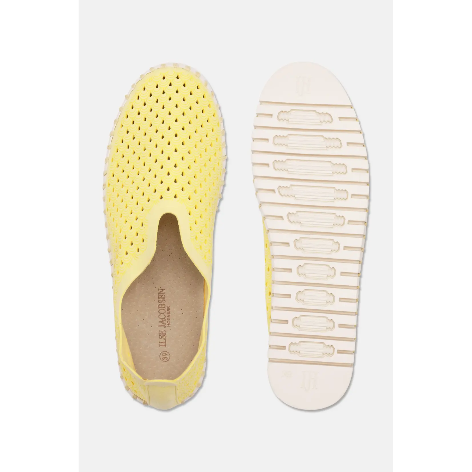 ILSE JACOBSEN ILSE JACOBSEN Tulip