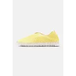 ILSE JACOBSEN ILSE JACOBSEN Tulip