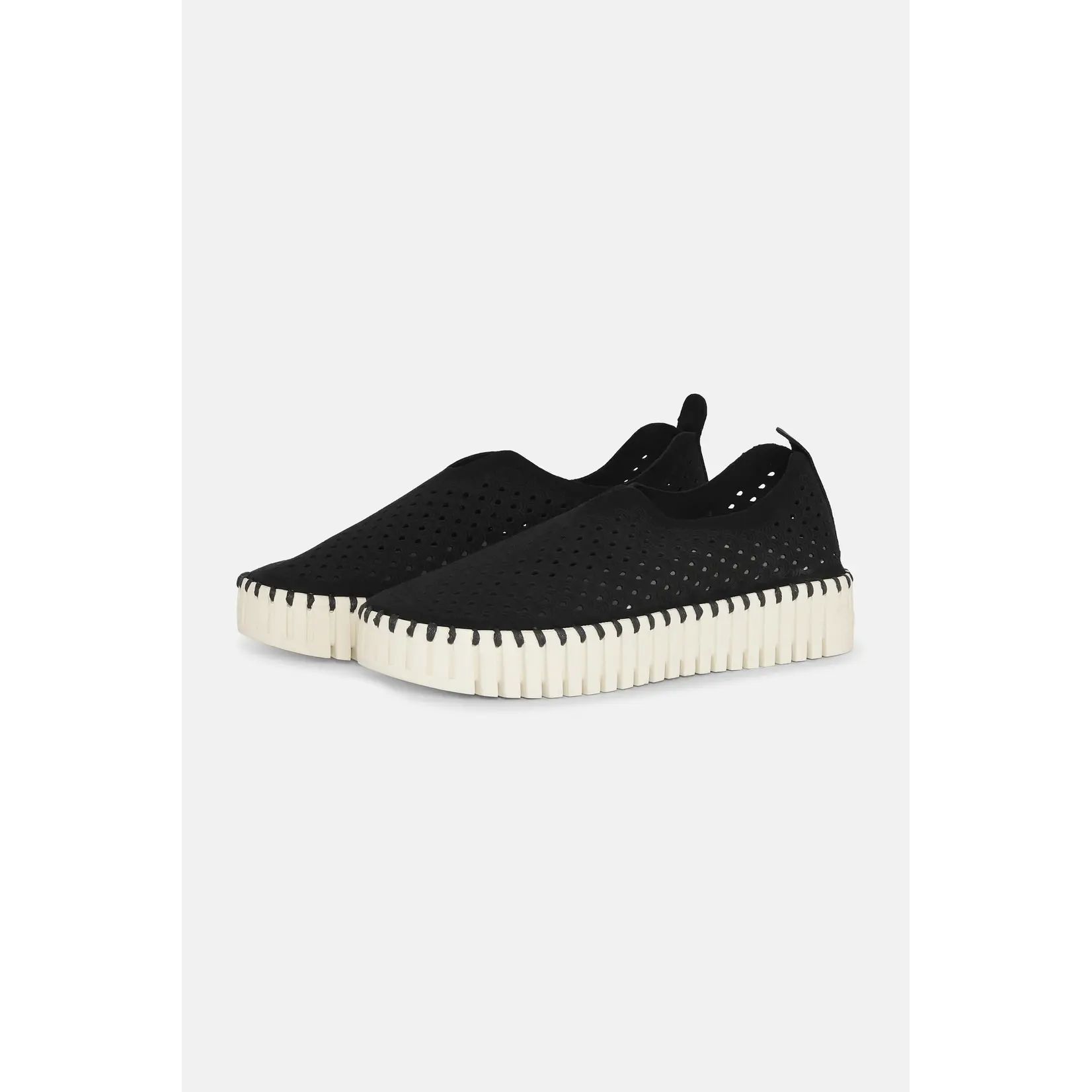 ILSE JACOBSEN ILSE JACOBSEN Tulip Platform