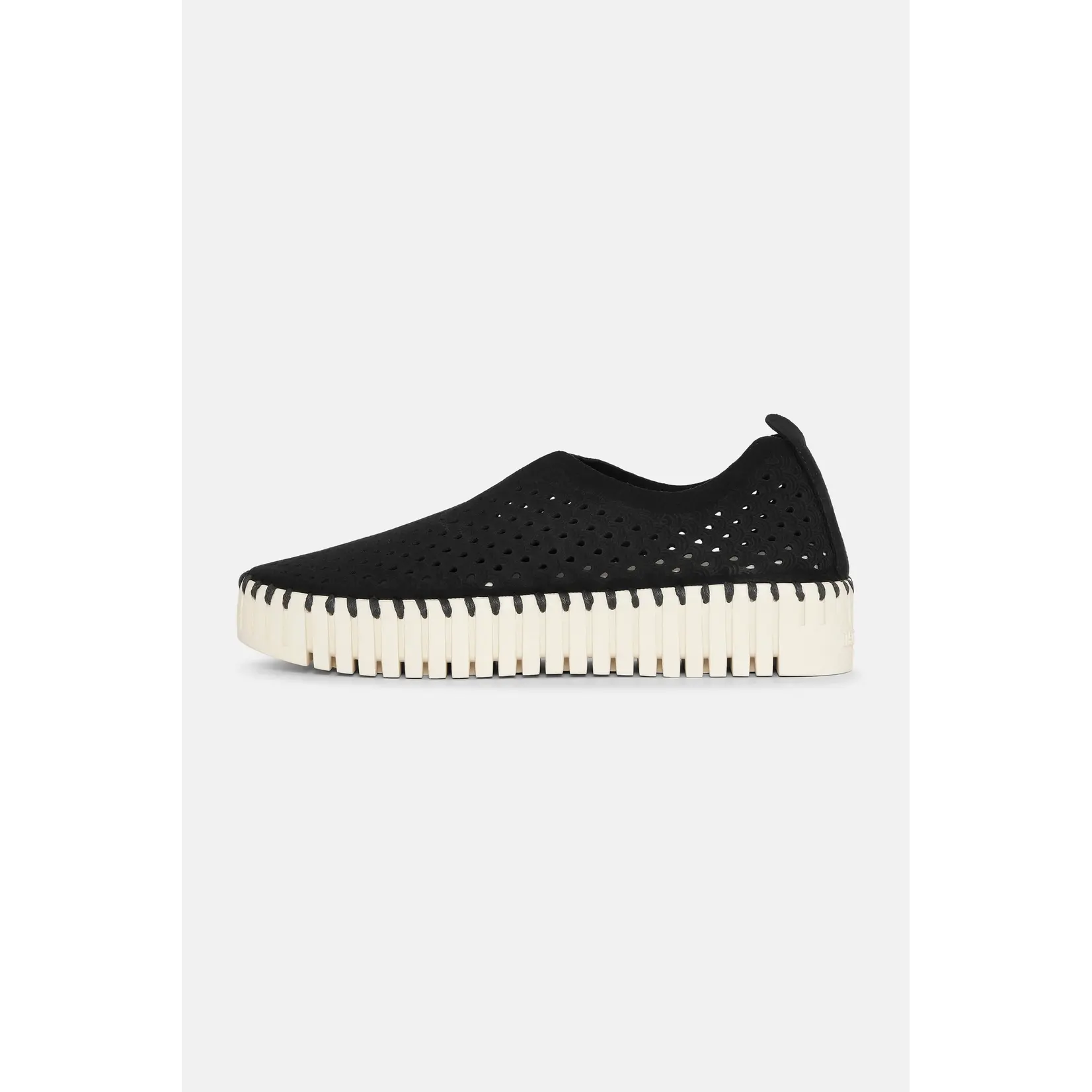 ILSE JACOBSEN ILSE JACOBSEN Tulip Platform