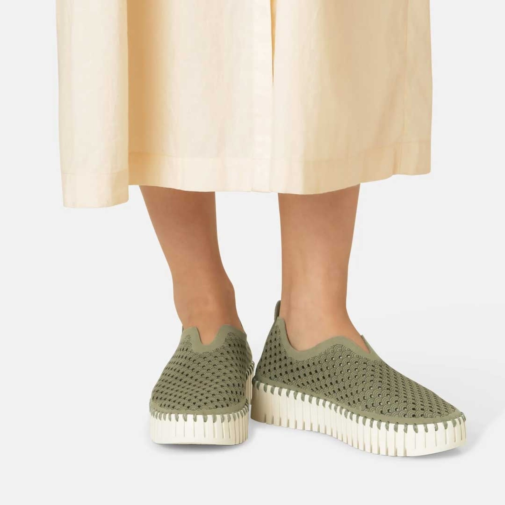 ILSE JACOBSEN ILSE JACOBSEN Tulip Platform