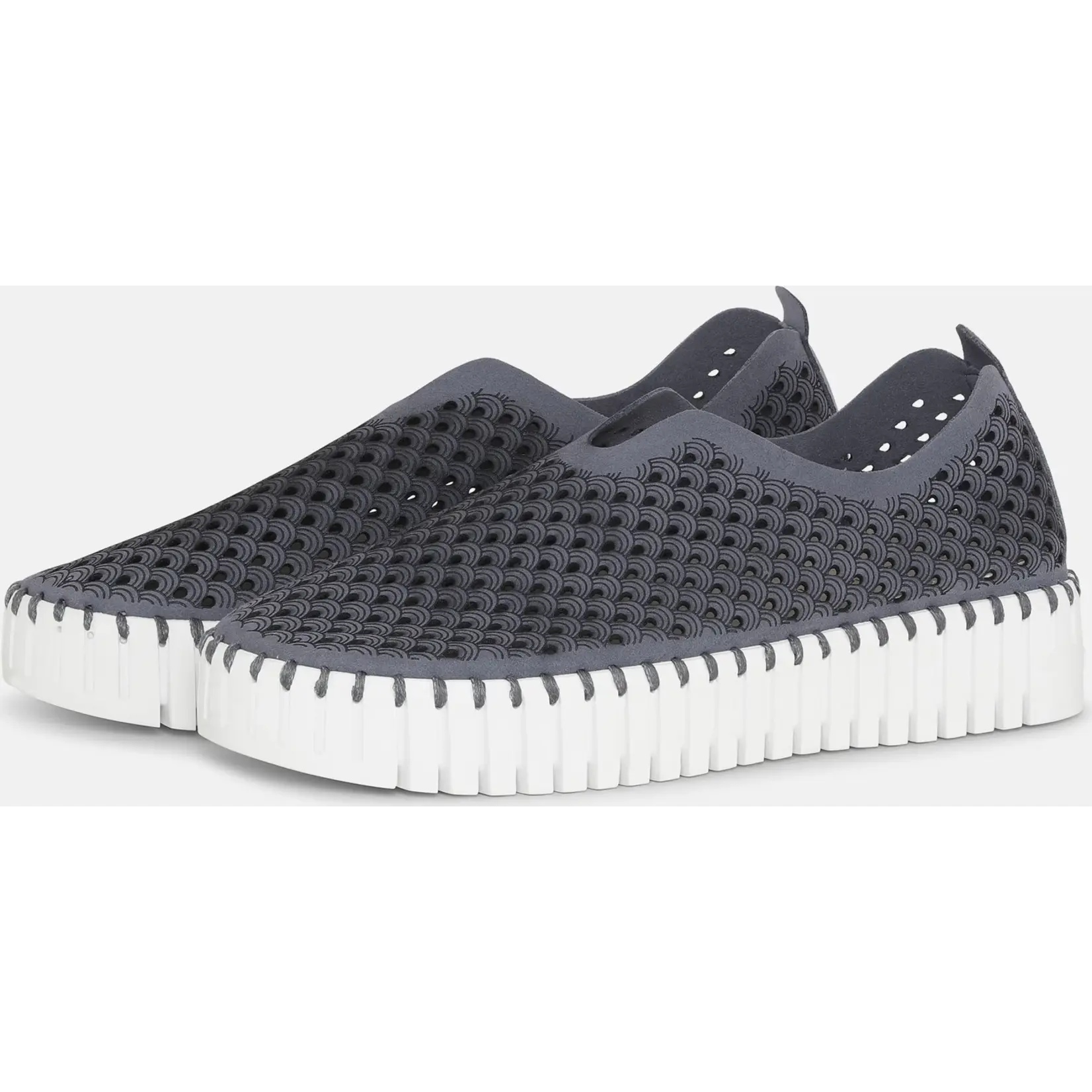 ILSE JACOBSEN ILSE JACOBSEN Tulip Platform