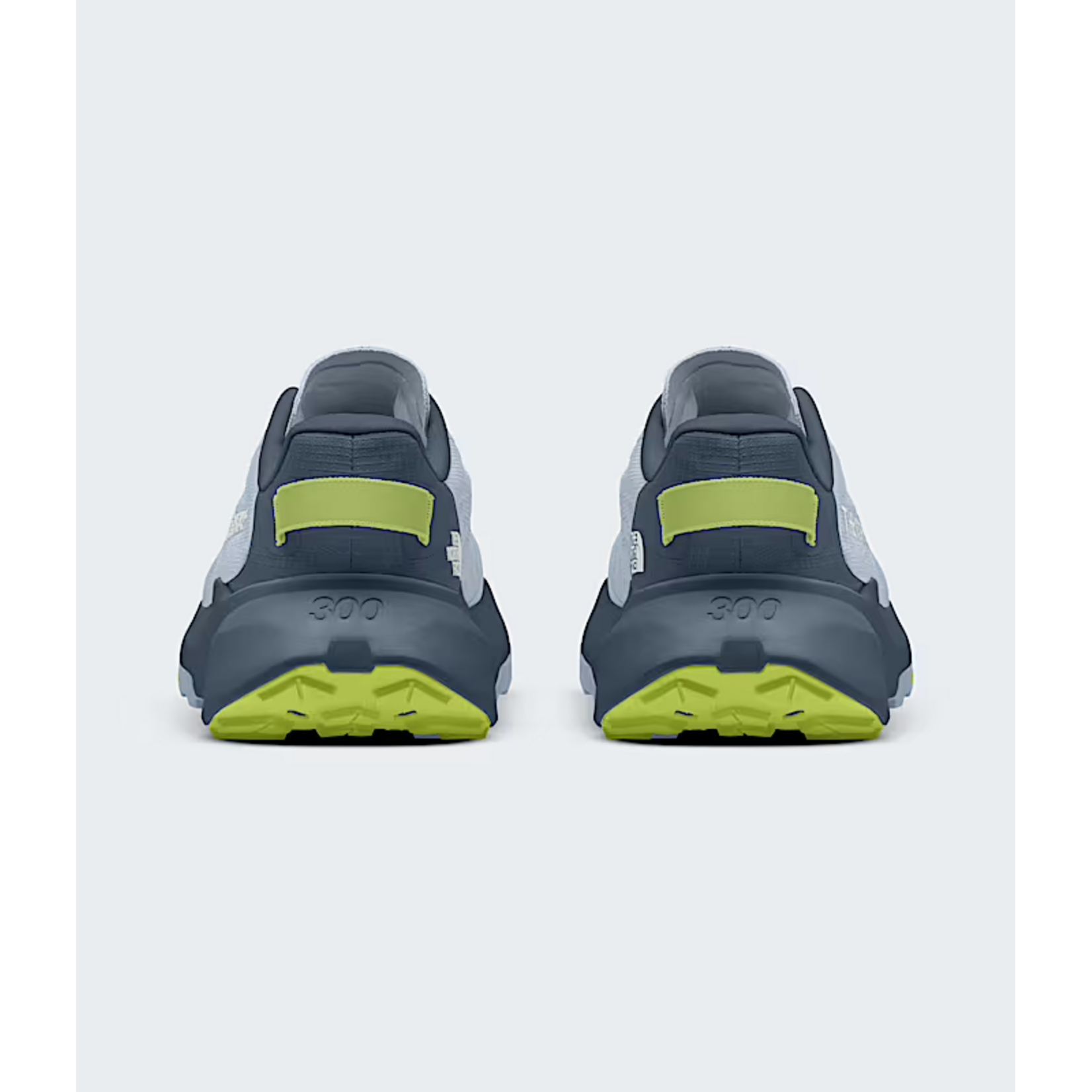 North Face NORTH FACE Men's Altamesa 300 V2