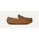 Ugg UGG Ascot