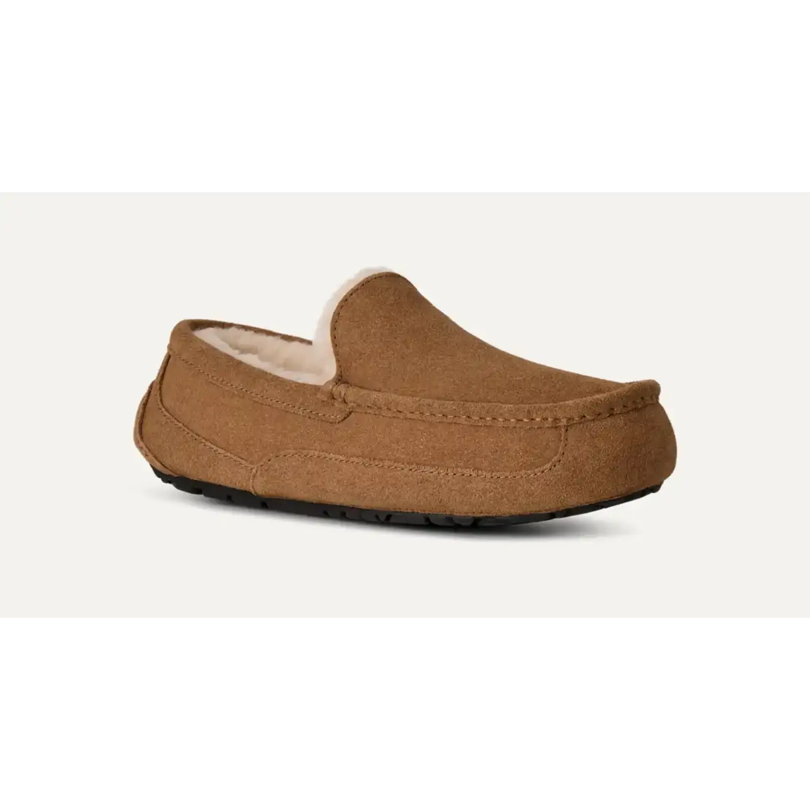 Ugg UGG Men's Ascot