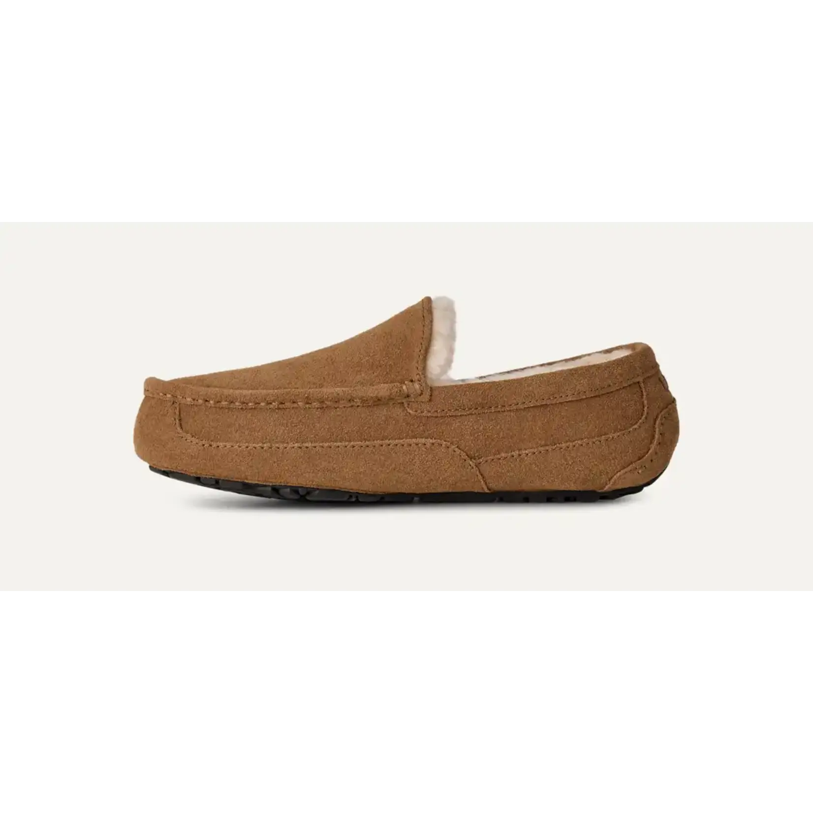 UGG 1101110 Ascot CHE