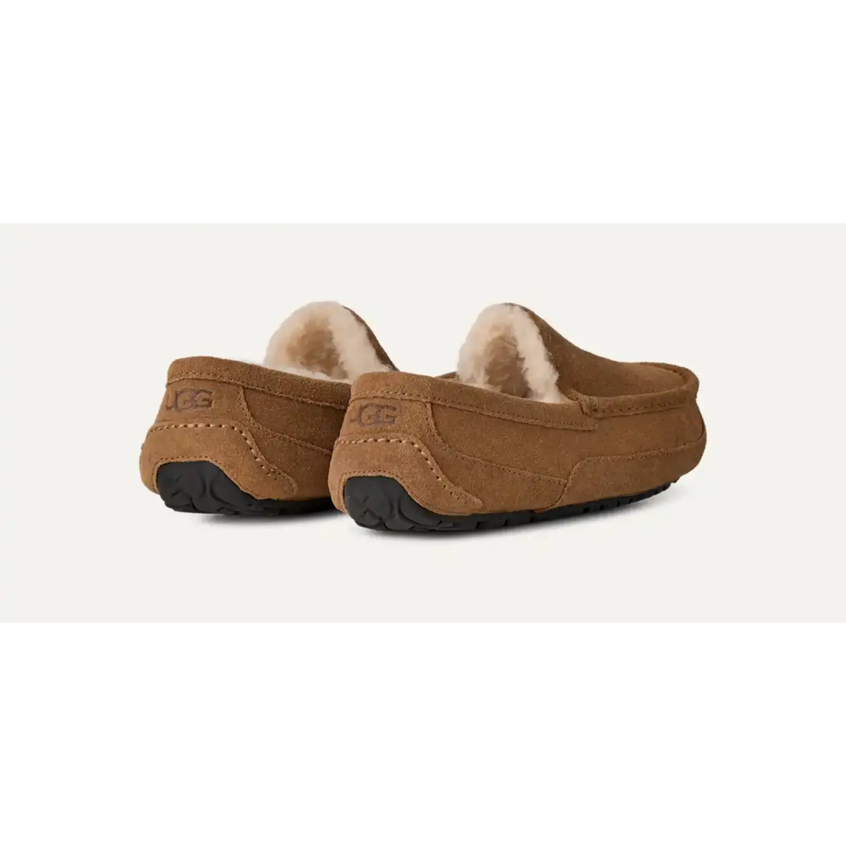 UGG 1101110 Ascot CHE