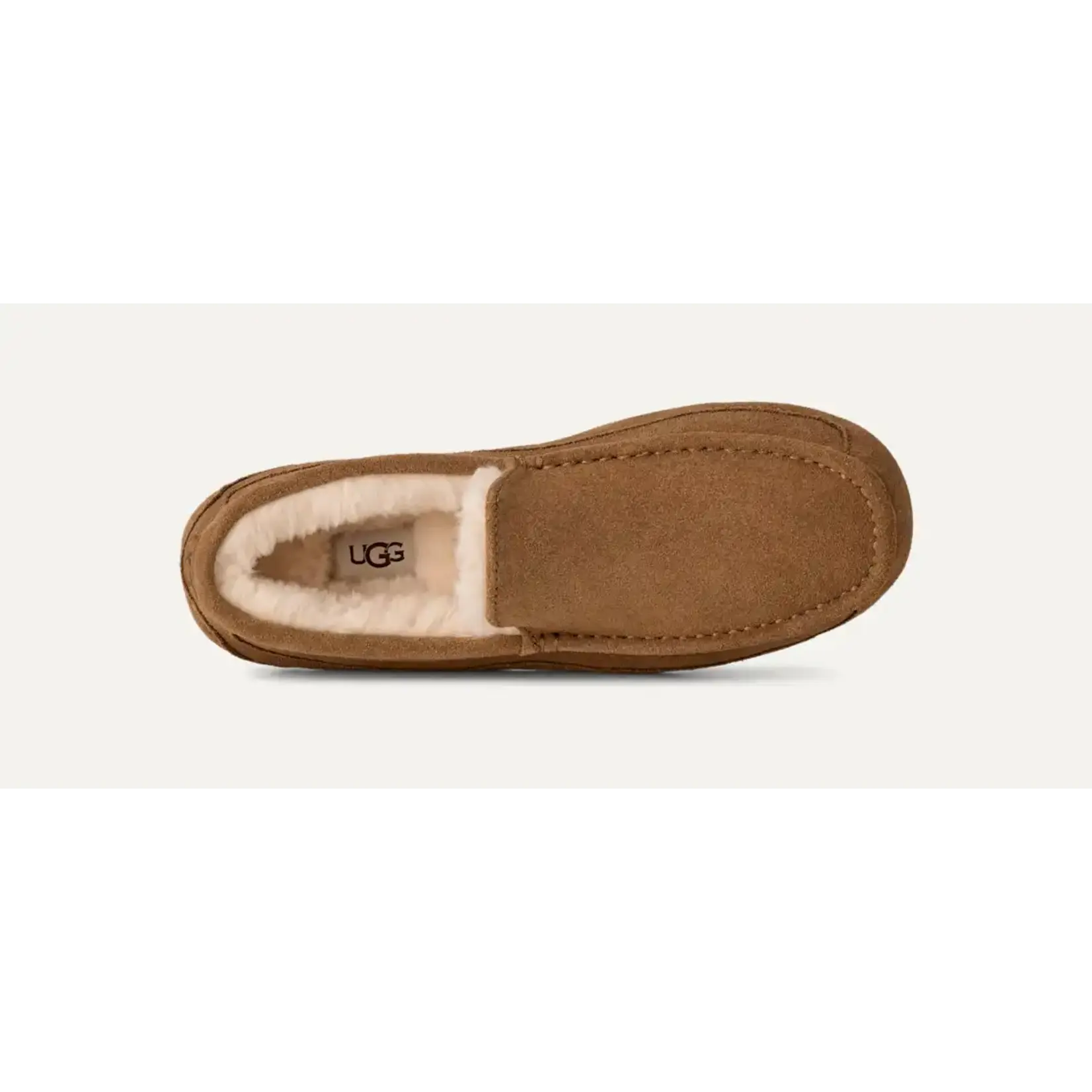 Ugg UGG Men's Ascot