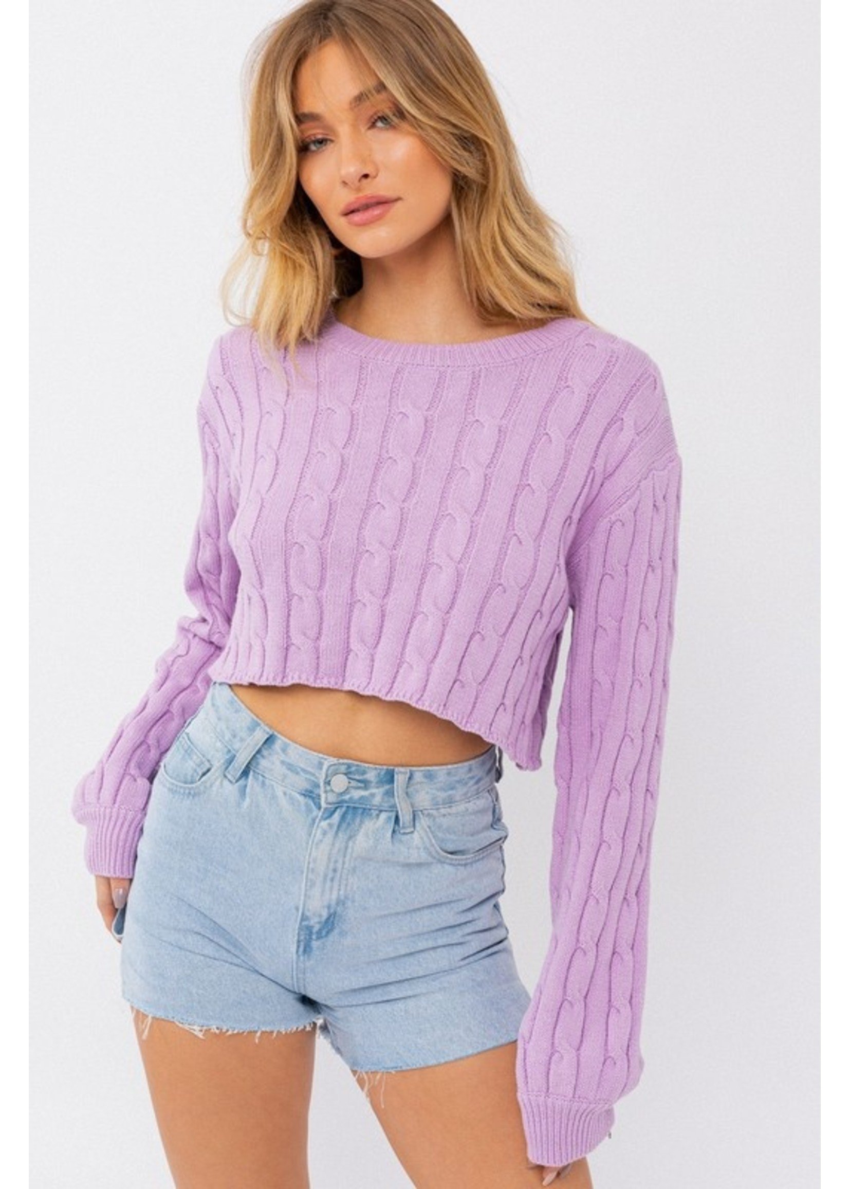 Le Lis Round Neck Cable Cropped Sweater - MWT5656