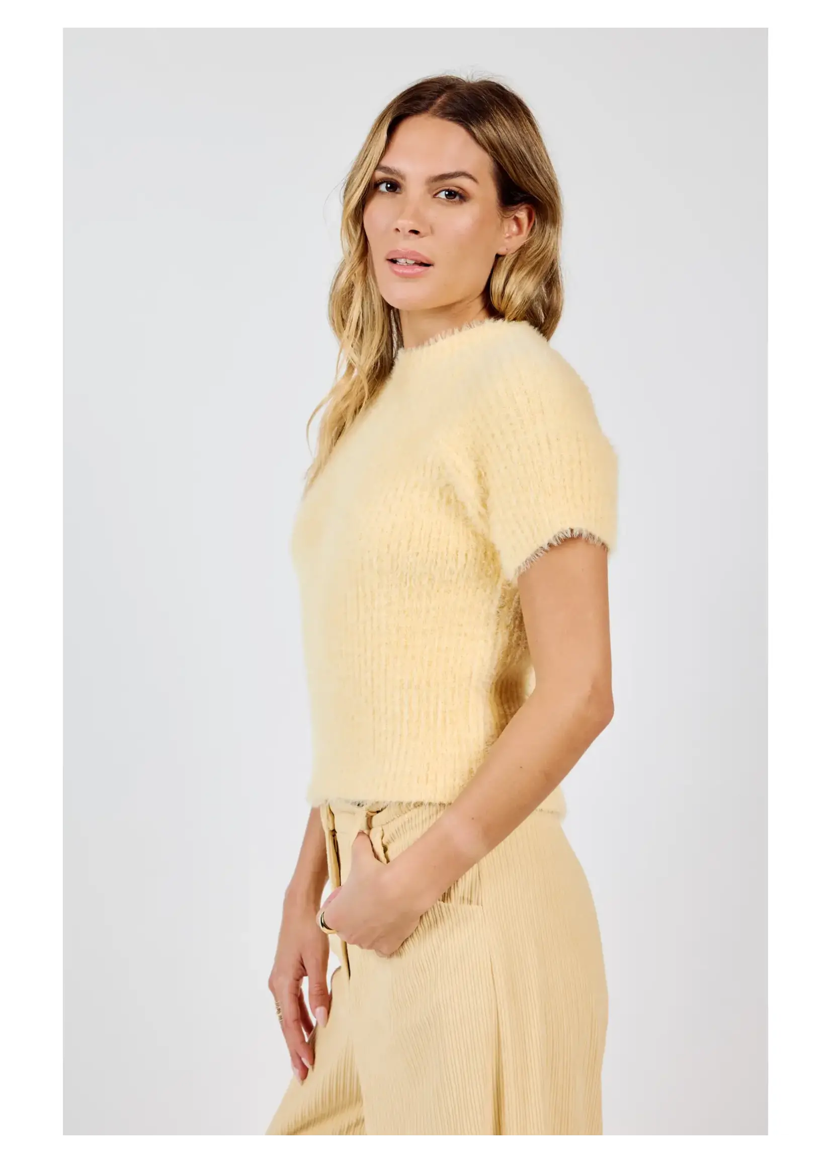 Sadie & Sage Ruby Ribbed S/Slv Sweater - AG4413