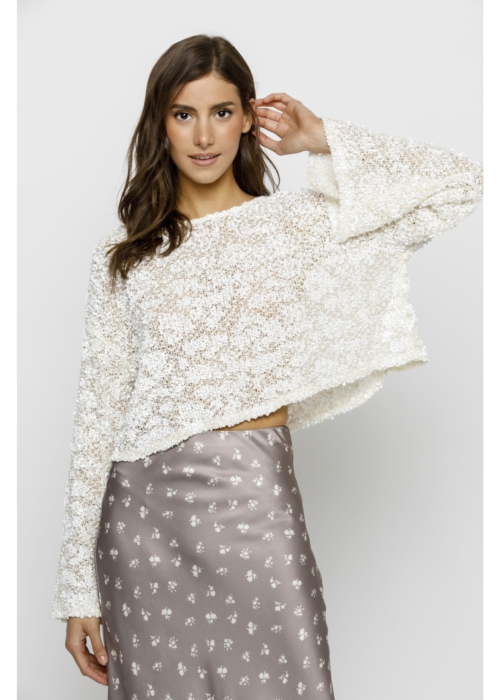 Storia Sequin Oversized Long Sleeve Knit Top - JT7253