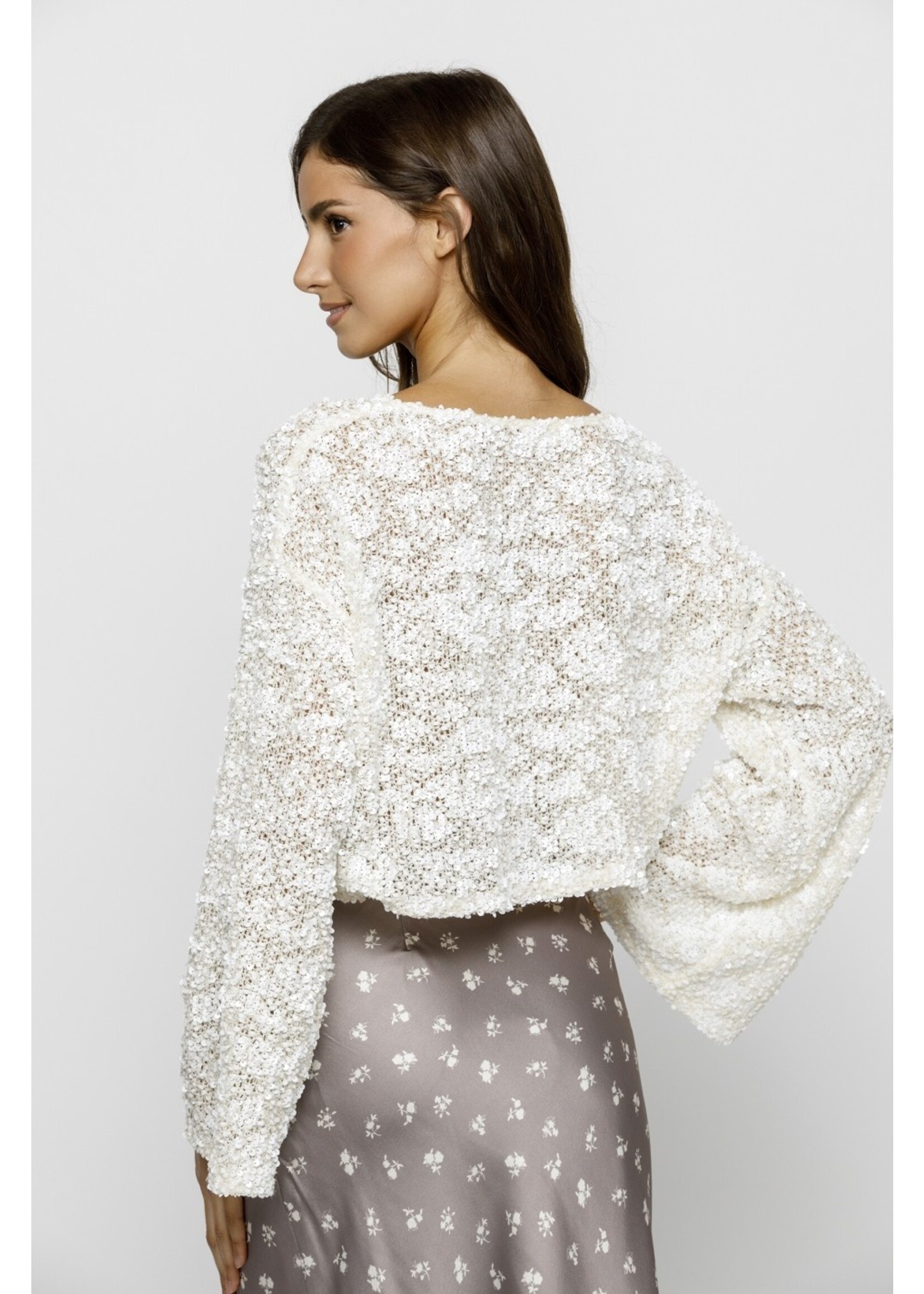 Storia Sequin Oversized Long Sleeve Knit Top - JT7253
