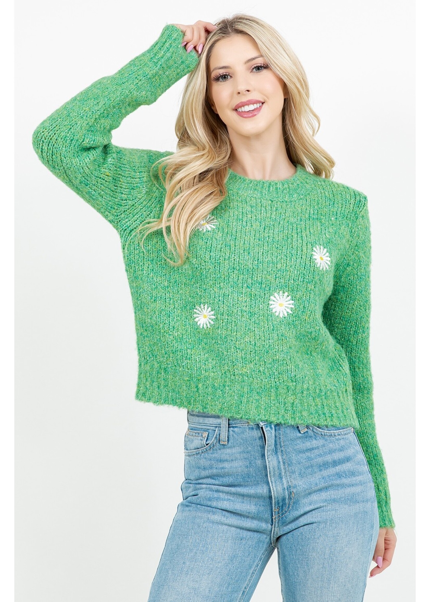 Dreamers Daisy Patch Chenille Sweater - Y8104-R