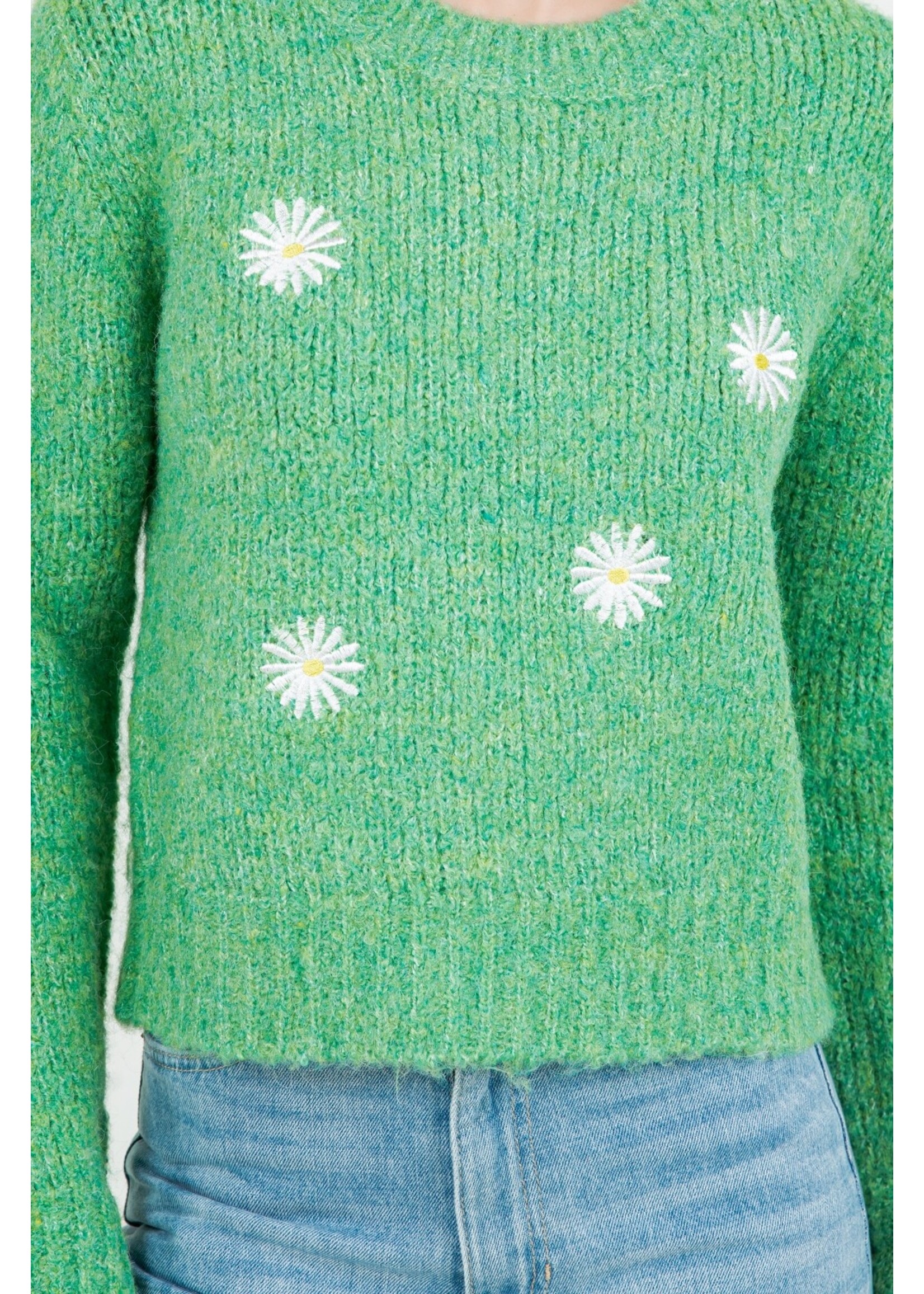 Dreamers Daisy Patch Chenille Sweater - Y8104-R