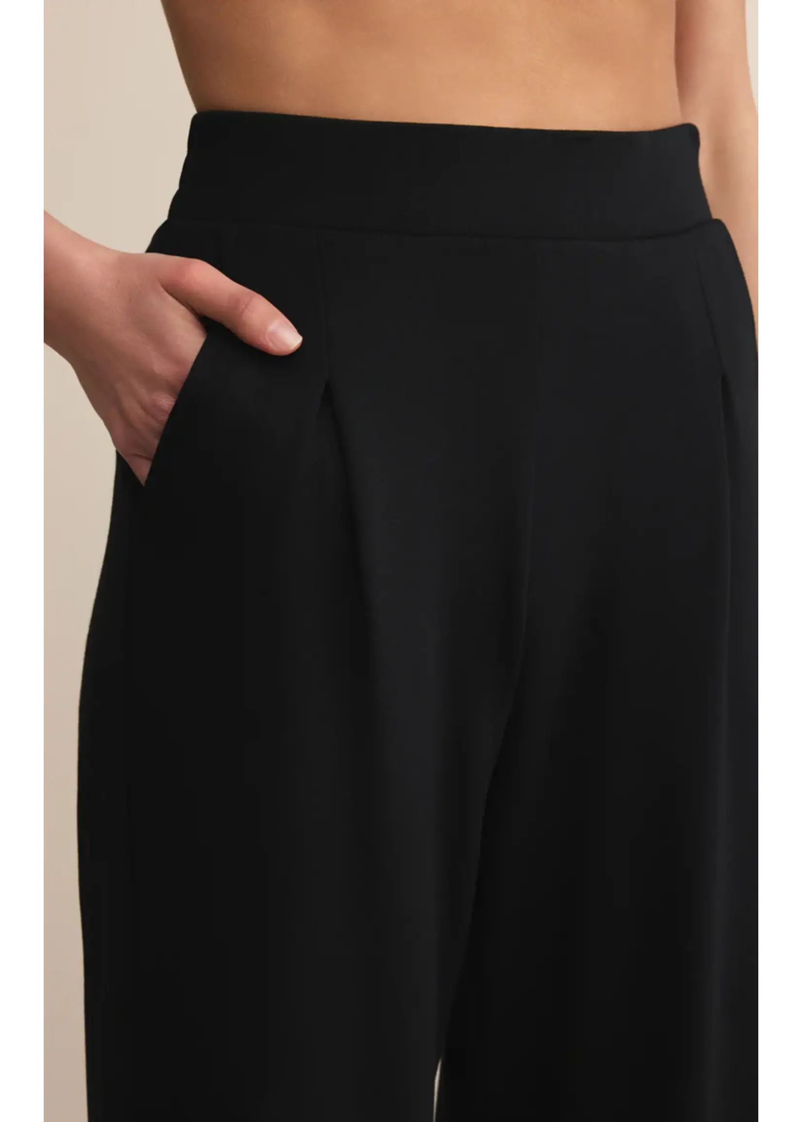 Z Supply Round Trip Pant - ZP253225