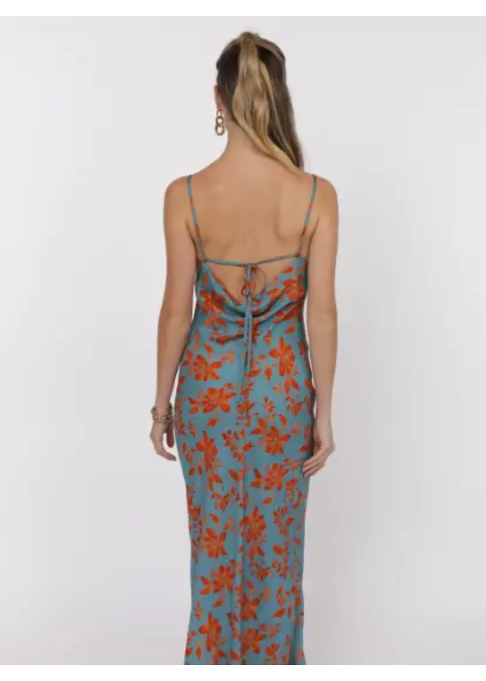 Sage The Label Off the Vine Printed Rayon Cowl Back Slip Dress -  LH3342