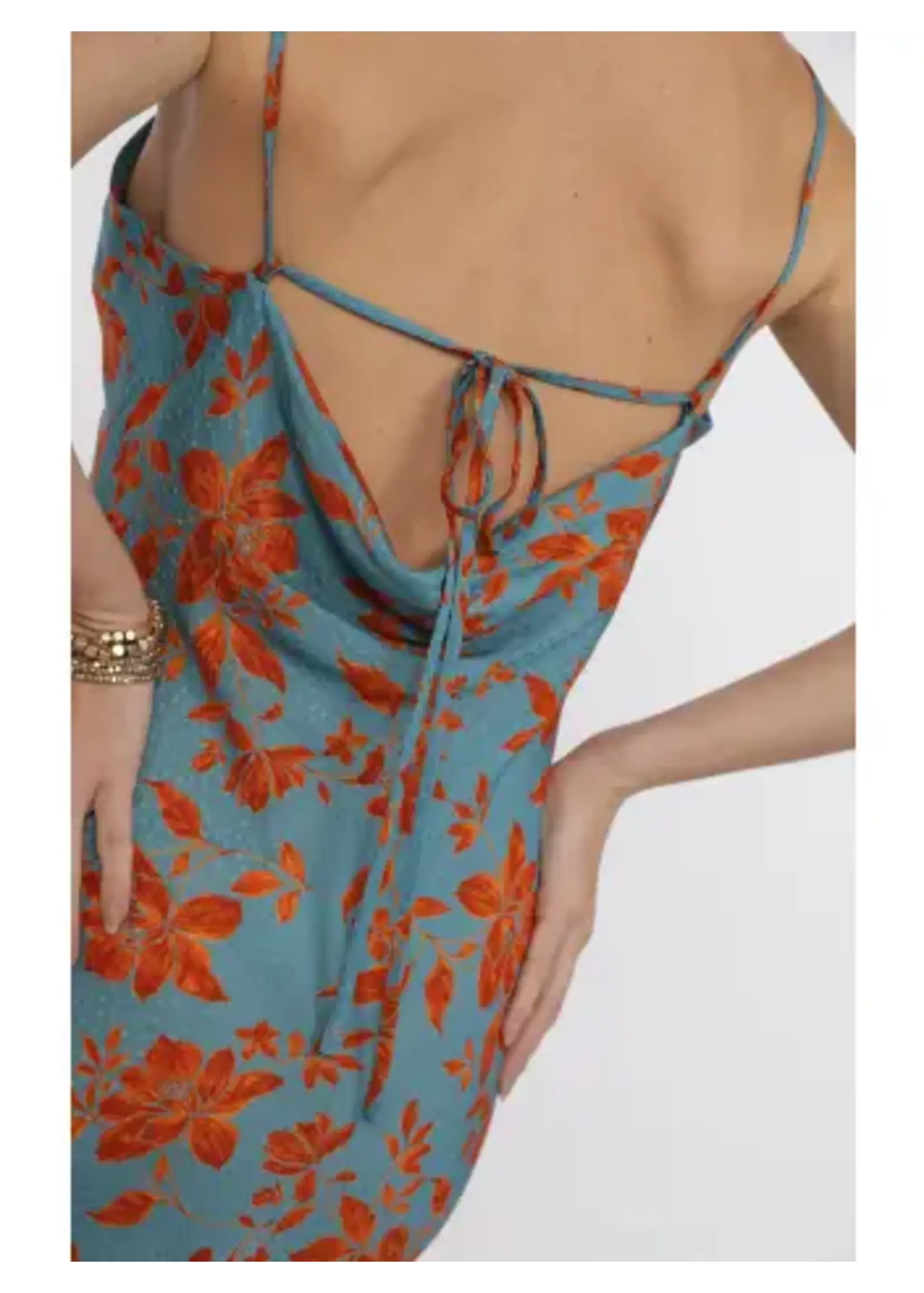 Sage The Label Off the Vine Printed Rayon Cowl Back Slip Dress -  LH3342