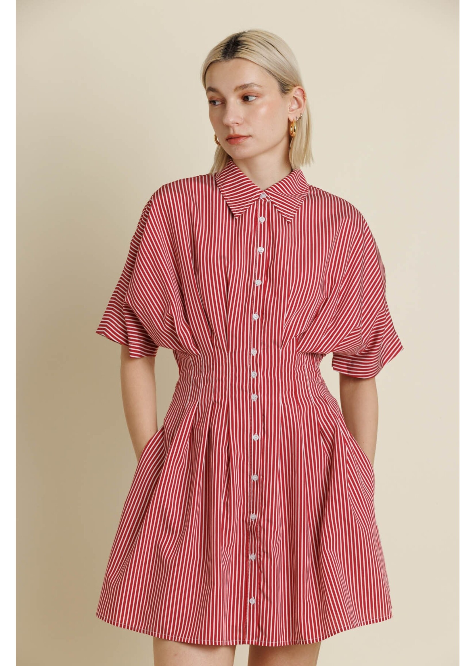 Aureum Striped Pleated Mini Dress - AD2167