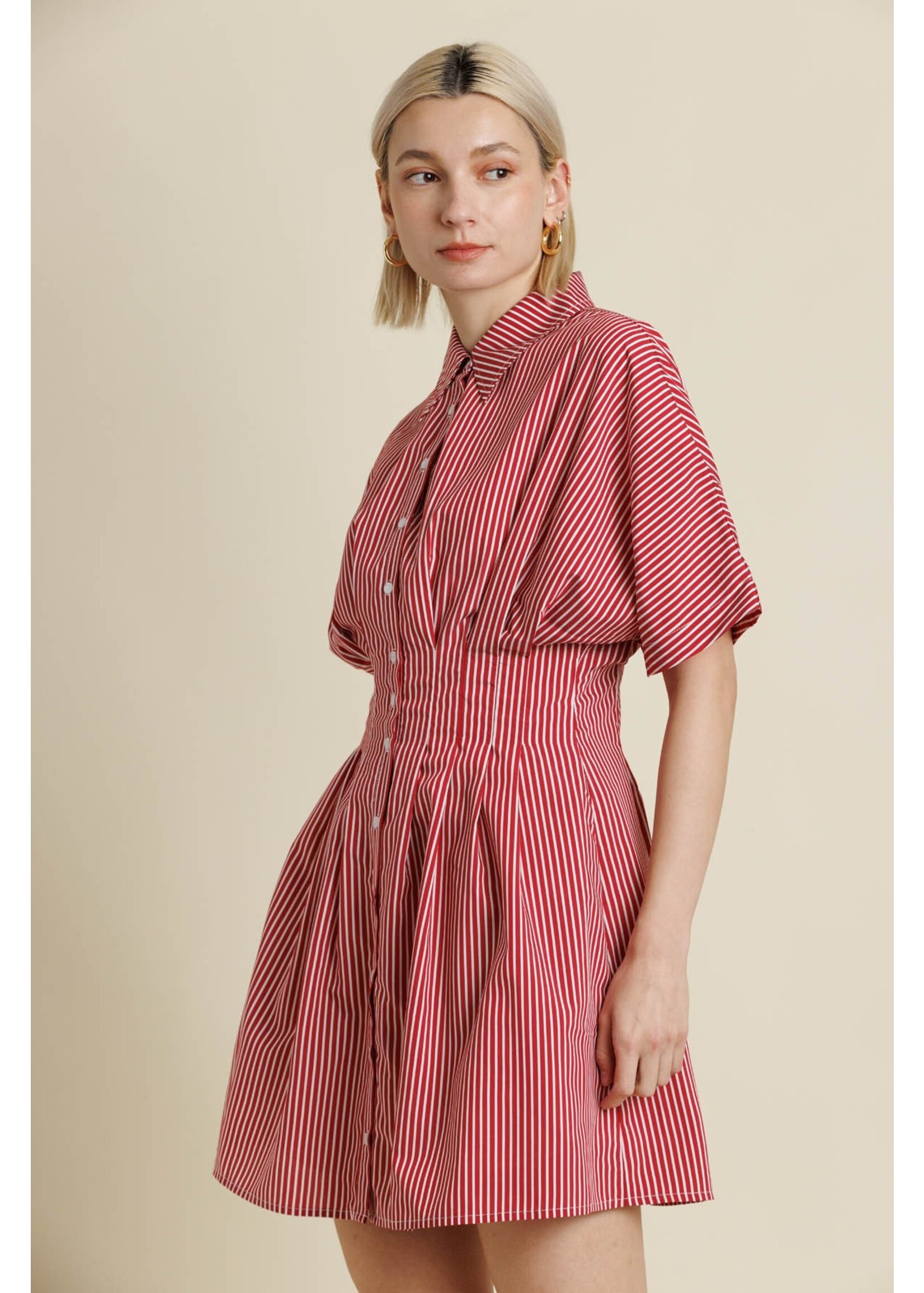 Aureum Striped Pleated Mini Dress - AD2167