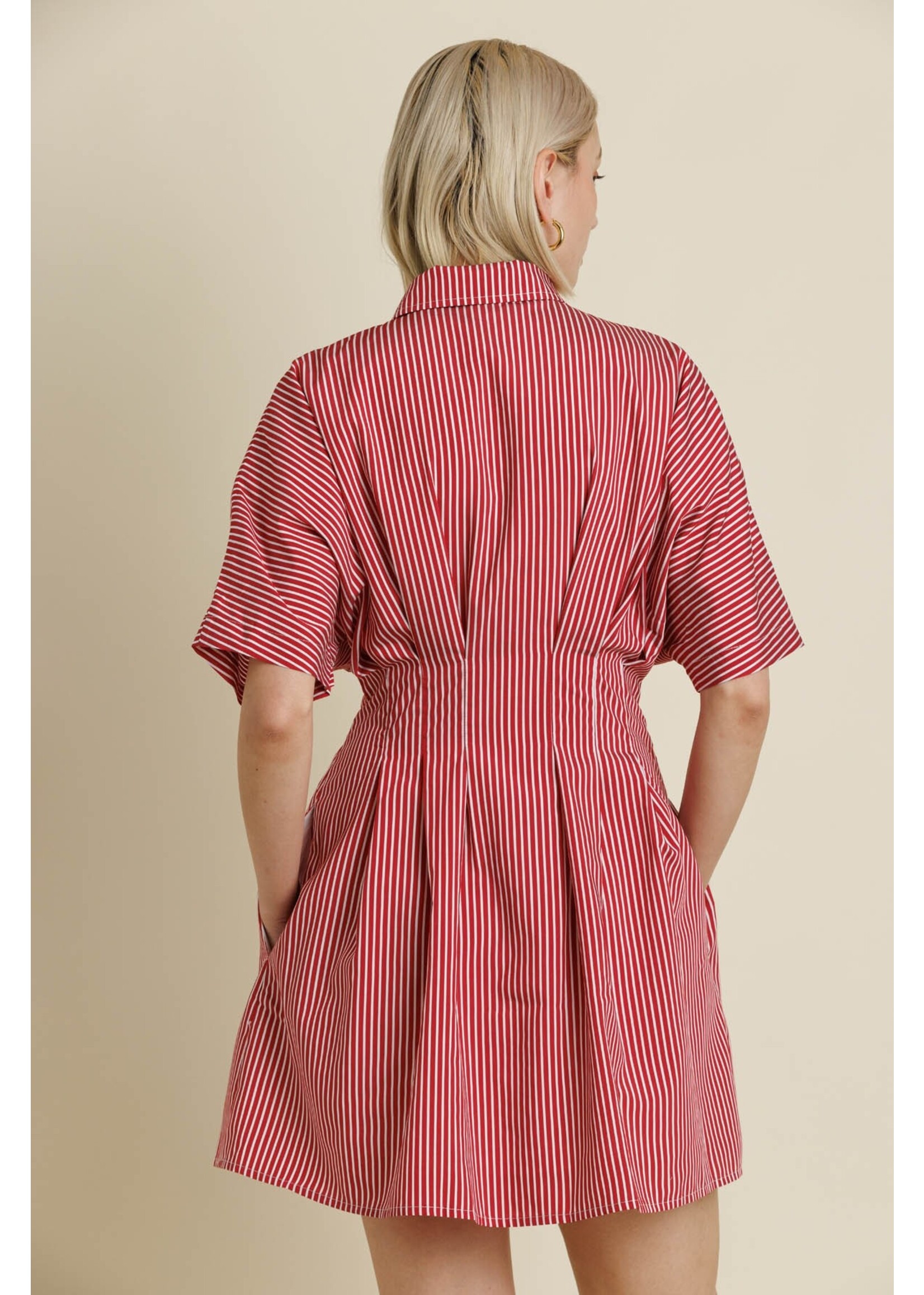 Aureum Striped Pleated Mini Dress - AD2167