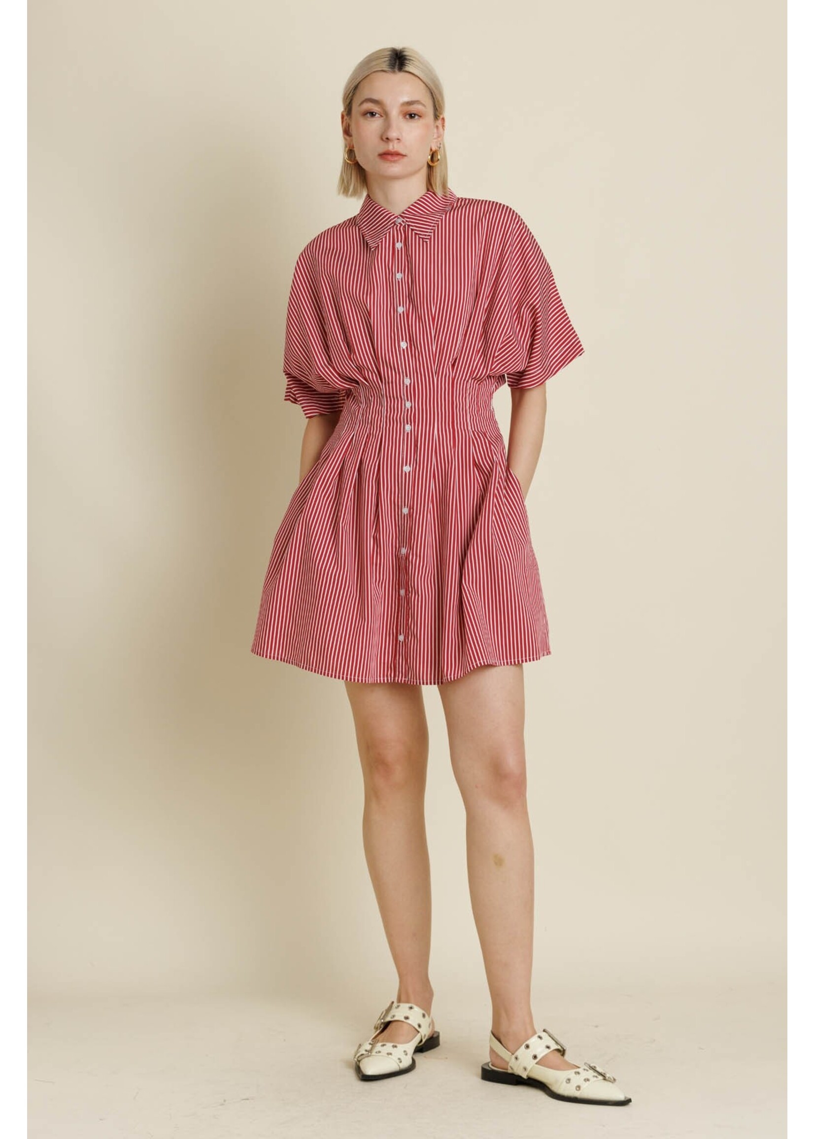 Aureum Striped Pleated Mini Dress - AD2167