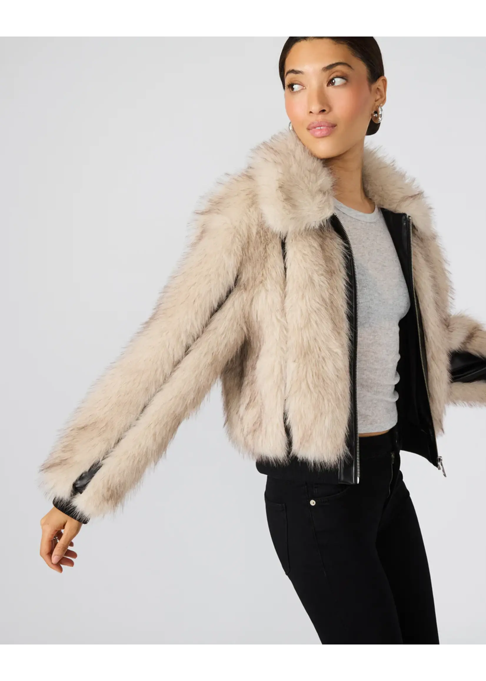 Steve Madden Charmaine Jacket - BP302956