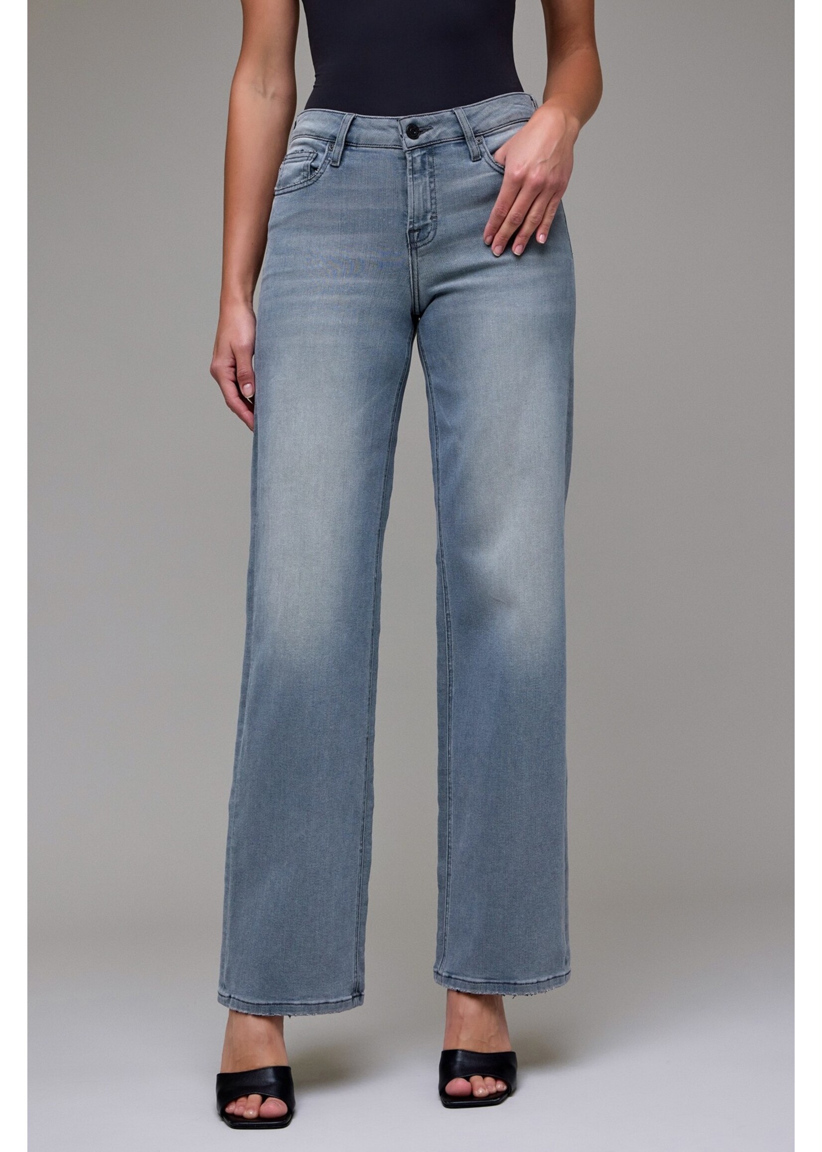 Hidden Stretch Mid Rise Dad Jean - HD9636D-LG