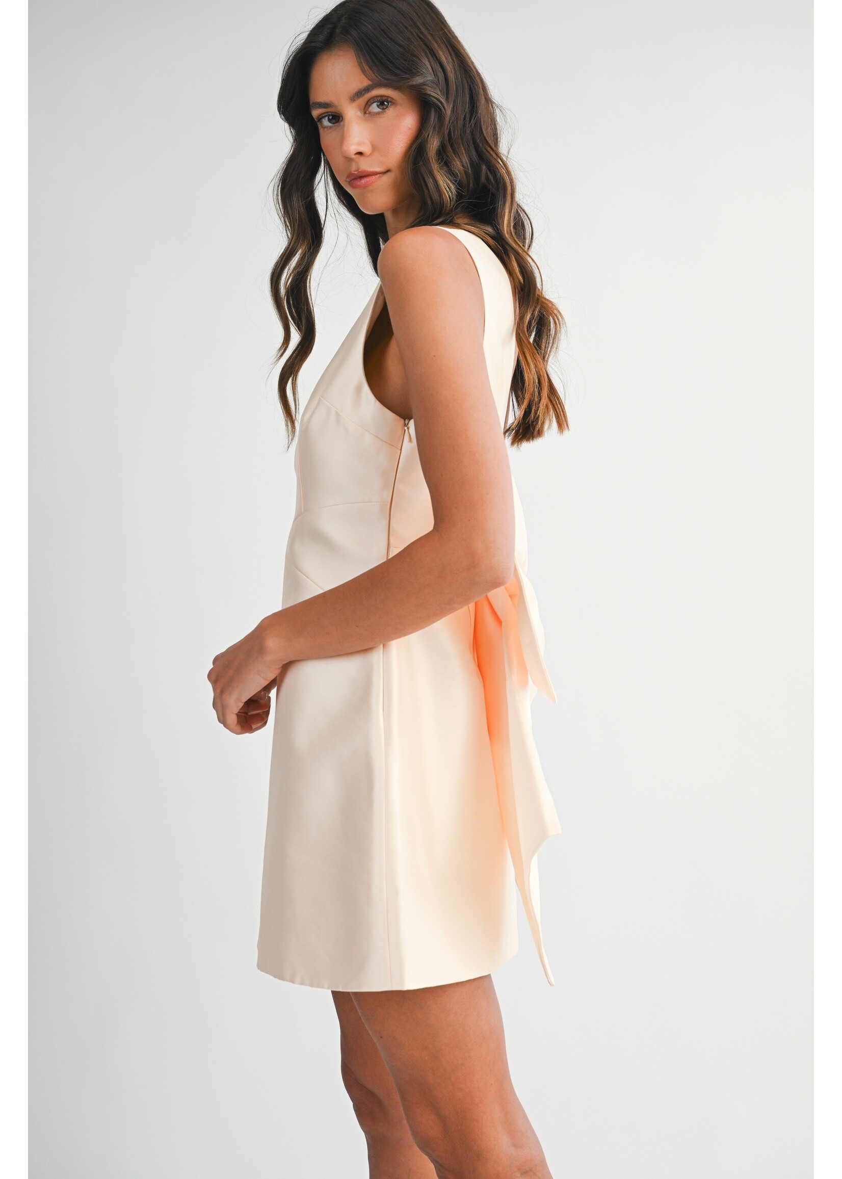Mable Satin Back Bow Detail Mini Dress - MD6144