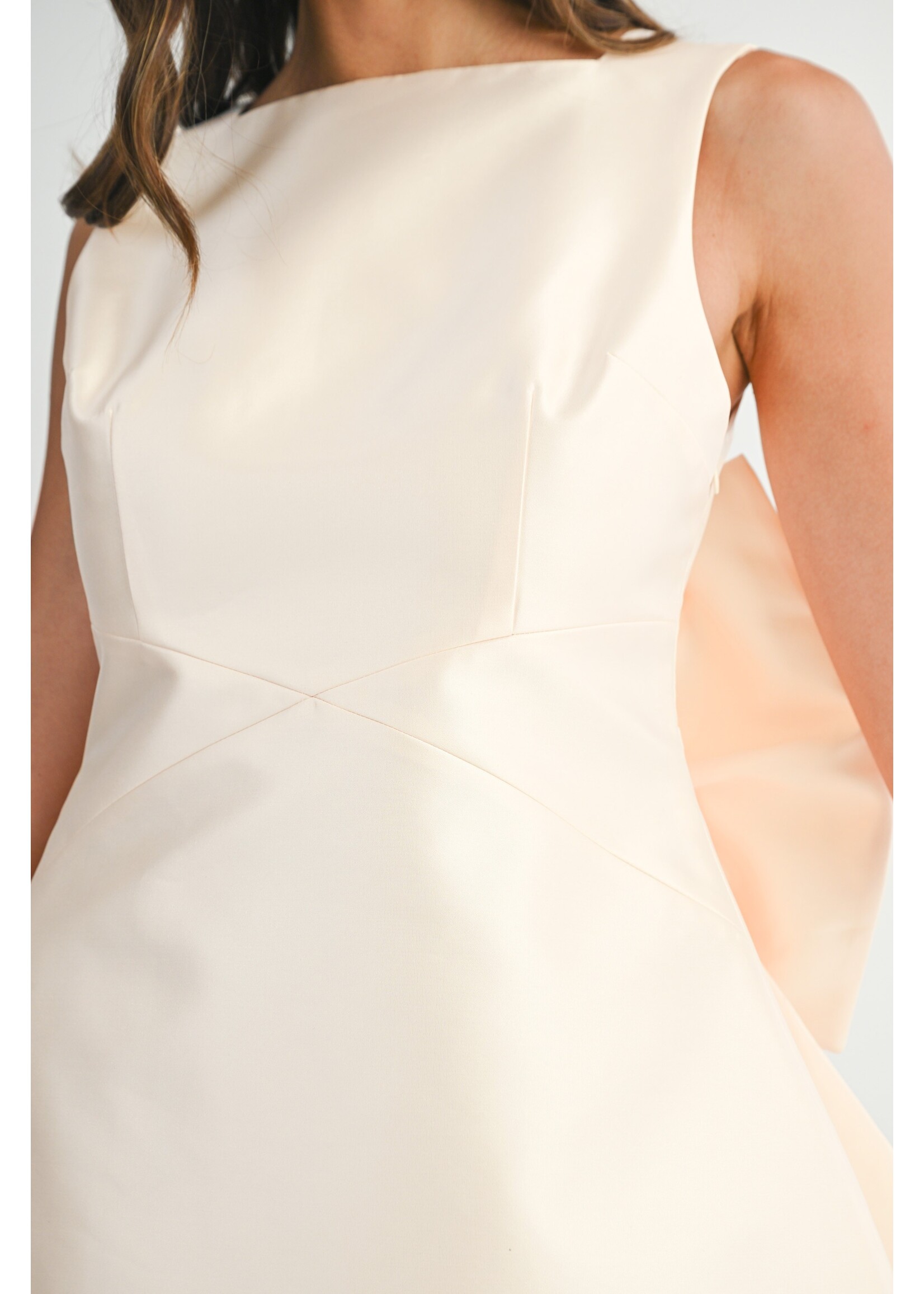 Mable Satin Back Bow Detail Mini Dress - MD6144