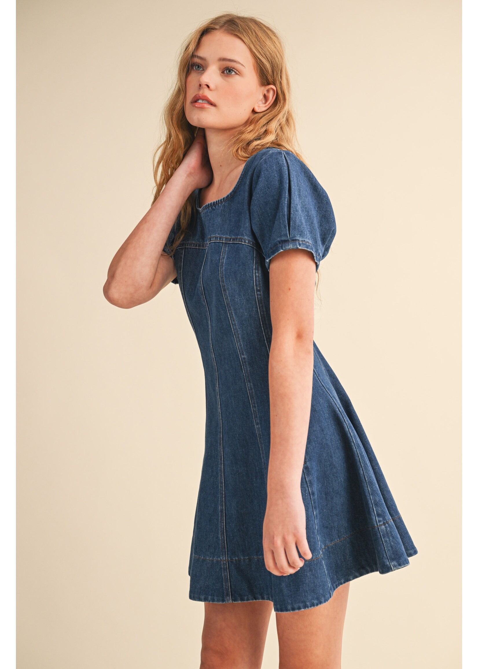 Klesis Denim Short Slv Dress - ID9562